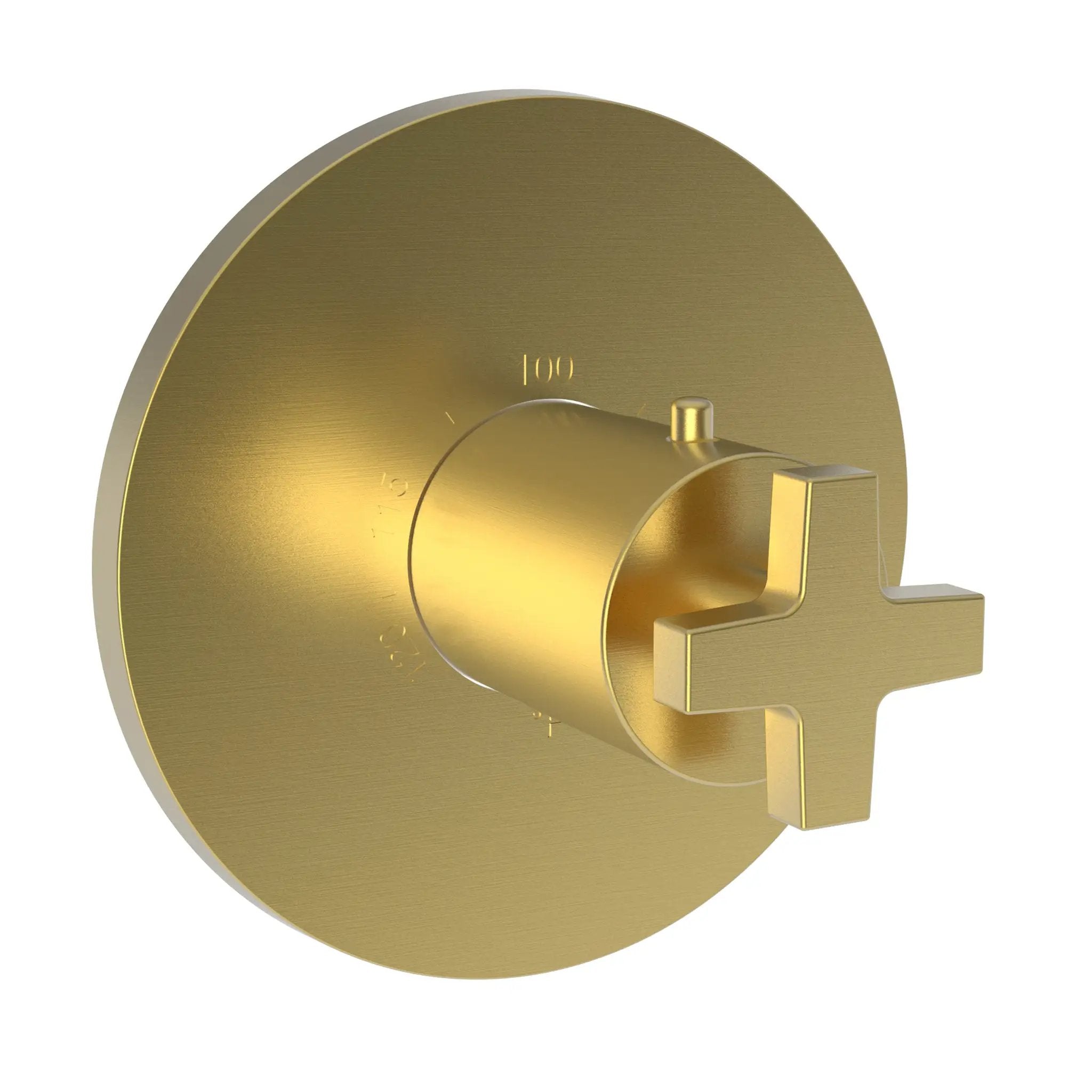 Newport Brass Dorrance 3/4" Round Thermostatic Trim Plate with Handle by Newport Brass
