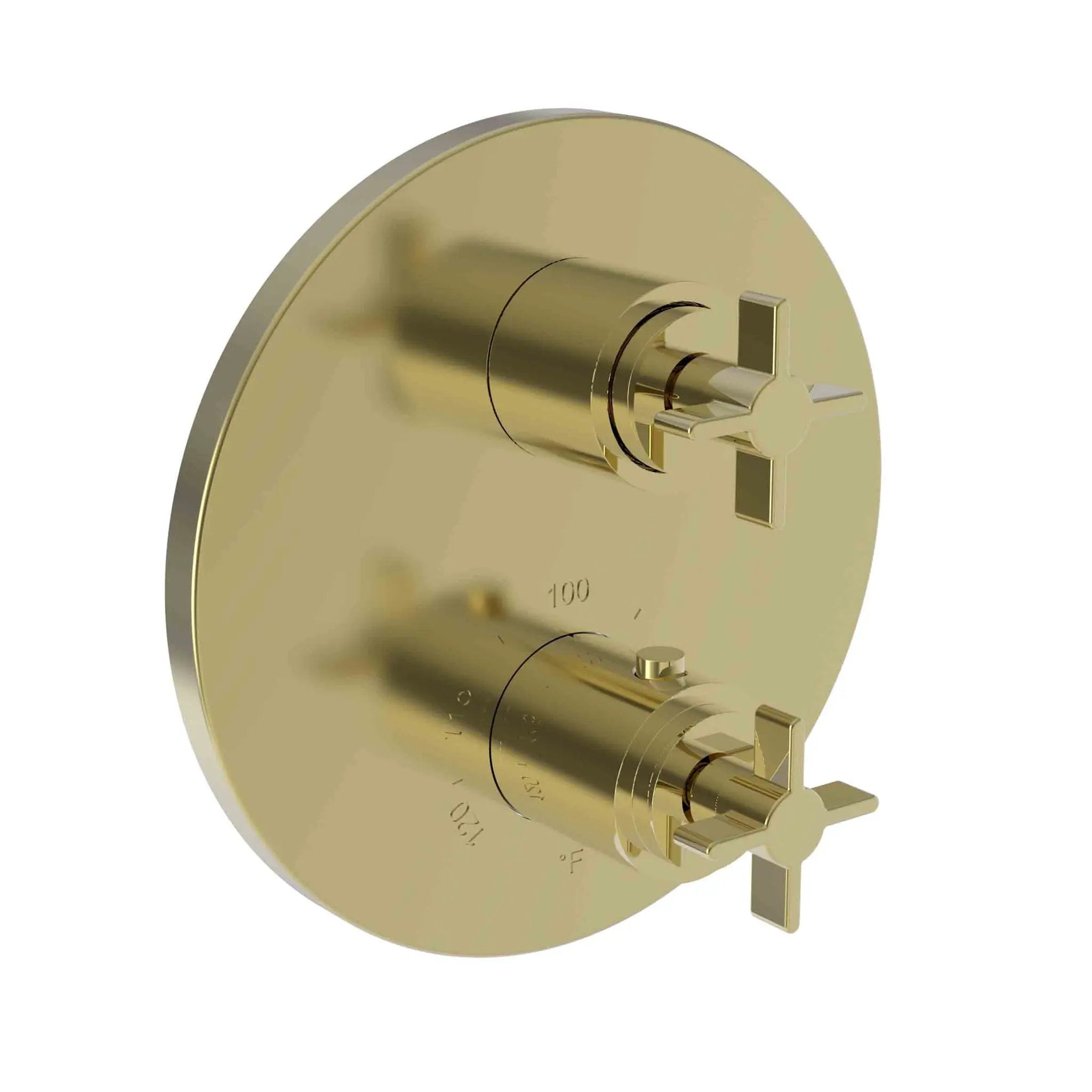 Newport Brass Tolmin 1/2" Round Thermostatic Trim Plate with Handle by Newport Brass