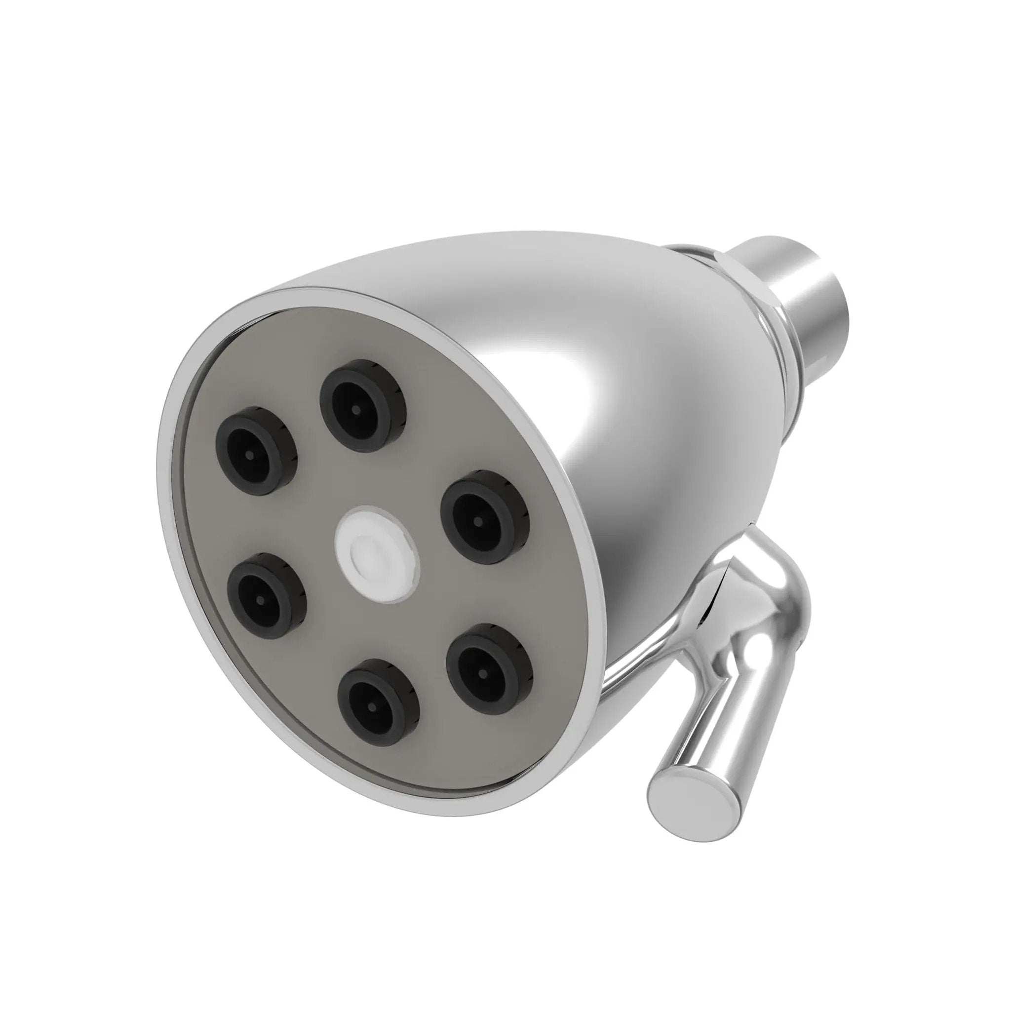 polished chrome shower head