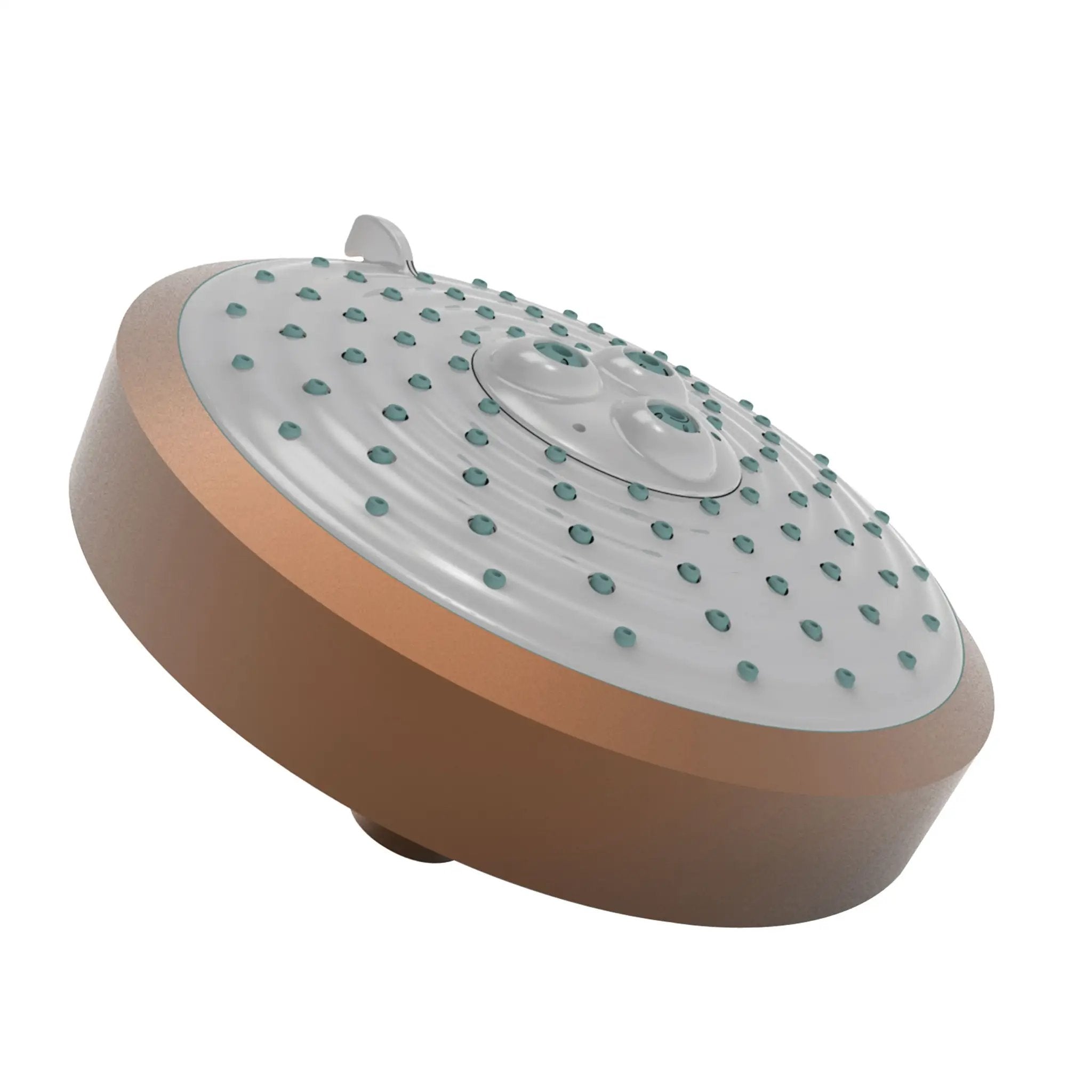 Newport Brass Tub & Shower Multifunction Showerhead by Newport Brass