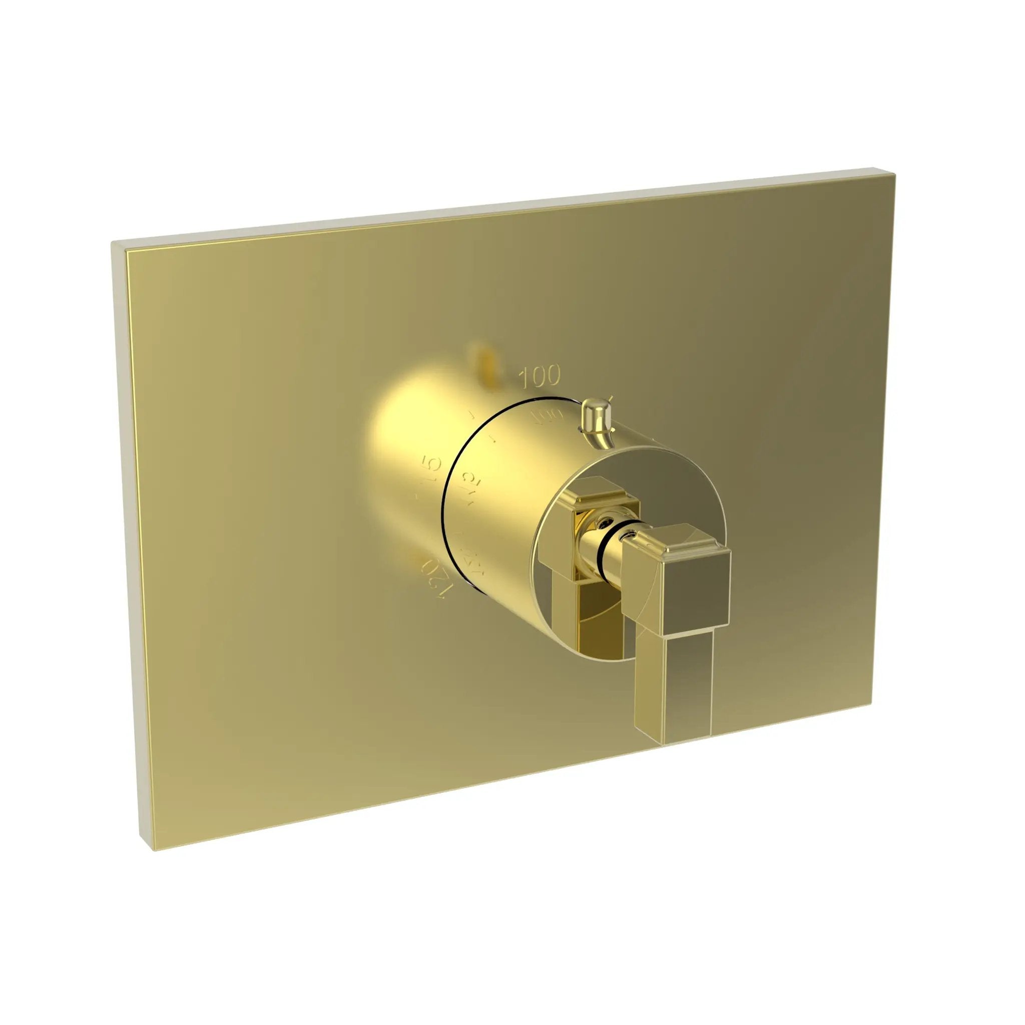 Newport Brass Malvina 3/4" Square Thermostatic Trim Plate with Handle by Newport Brass