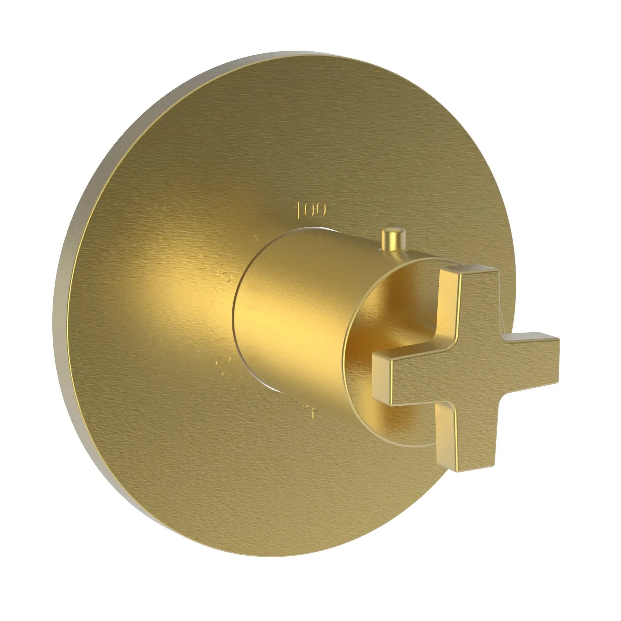 Newport Brass Dorrance 3/4" Round Thermostatic Trim Plate with Handle by Newport Brass