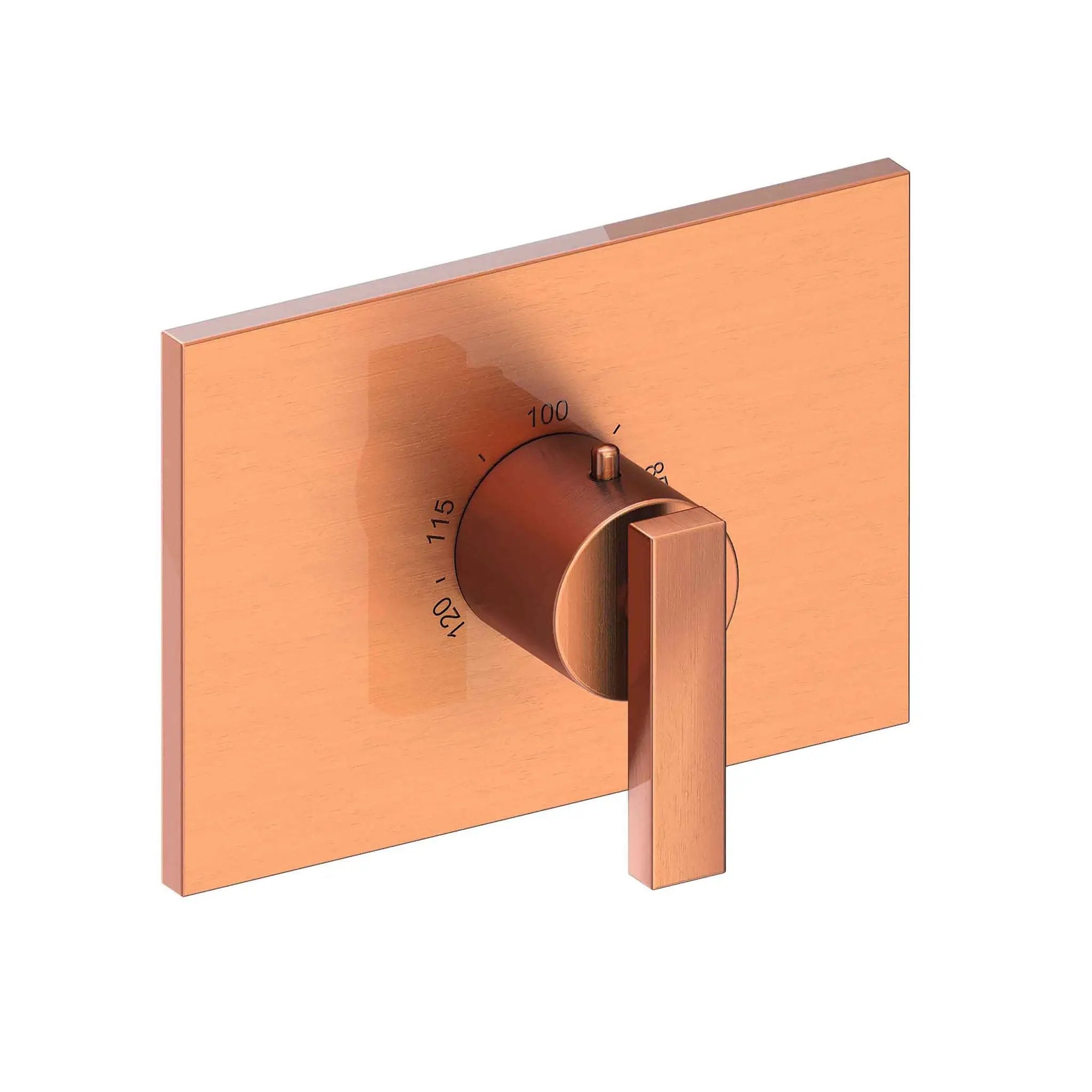 Newport Brass Secant 3/4" Rectangular Thermostatic Trim Plate with Handle by Newport Brass