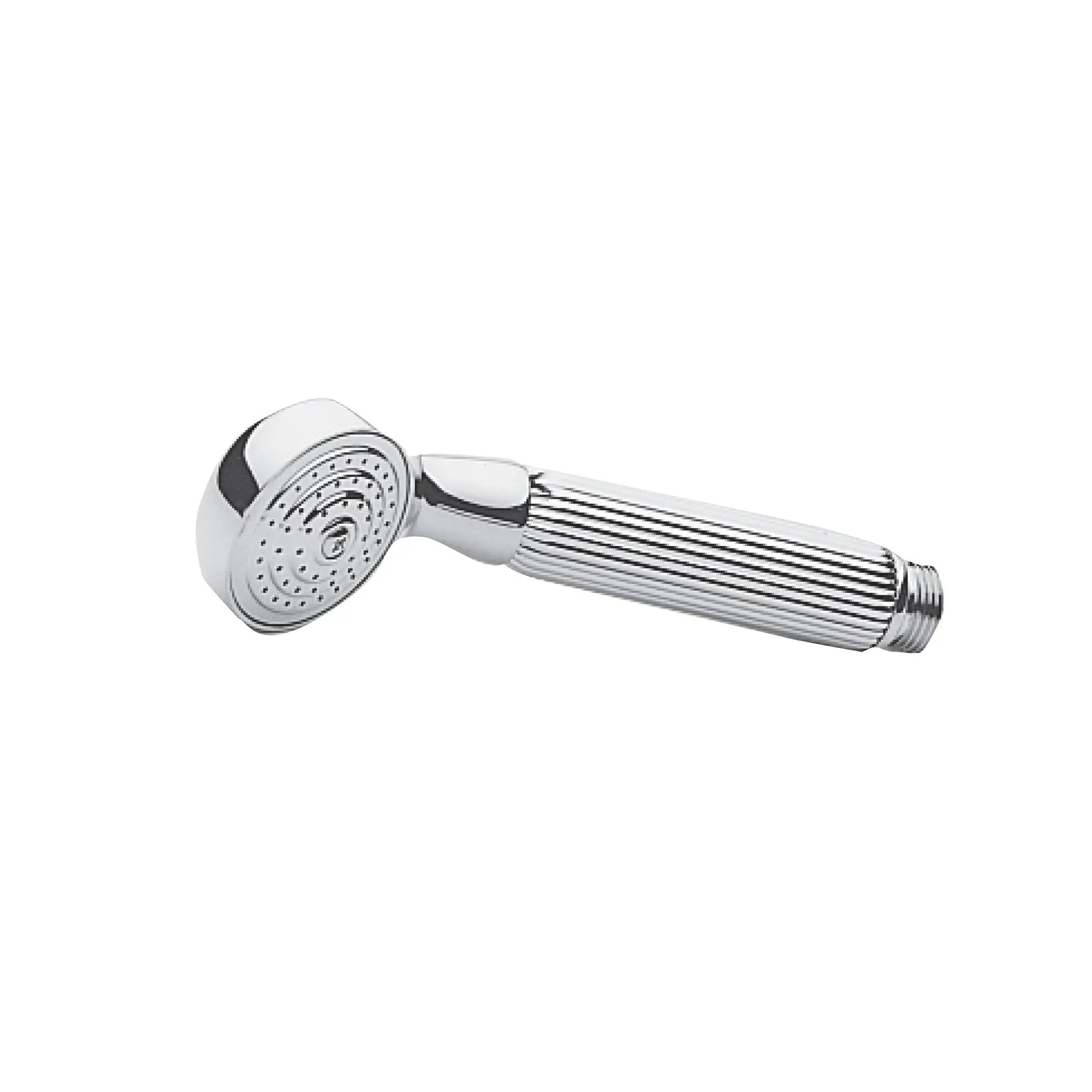 polished chrome hand shower