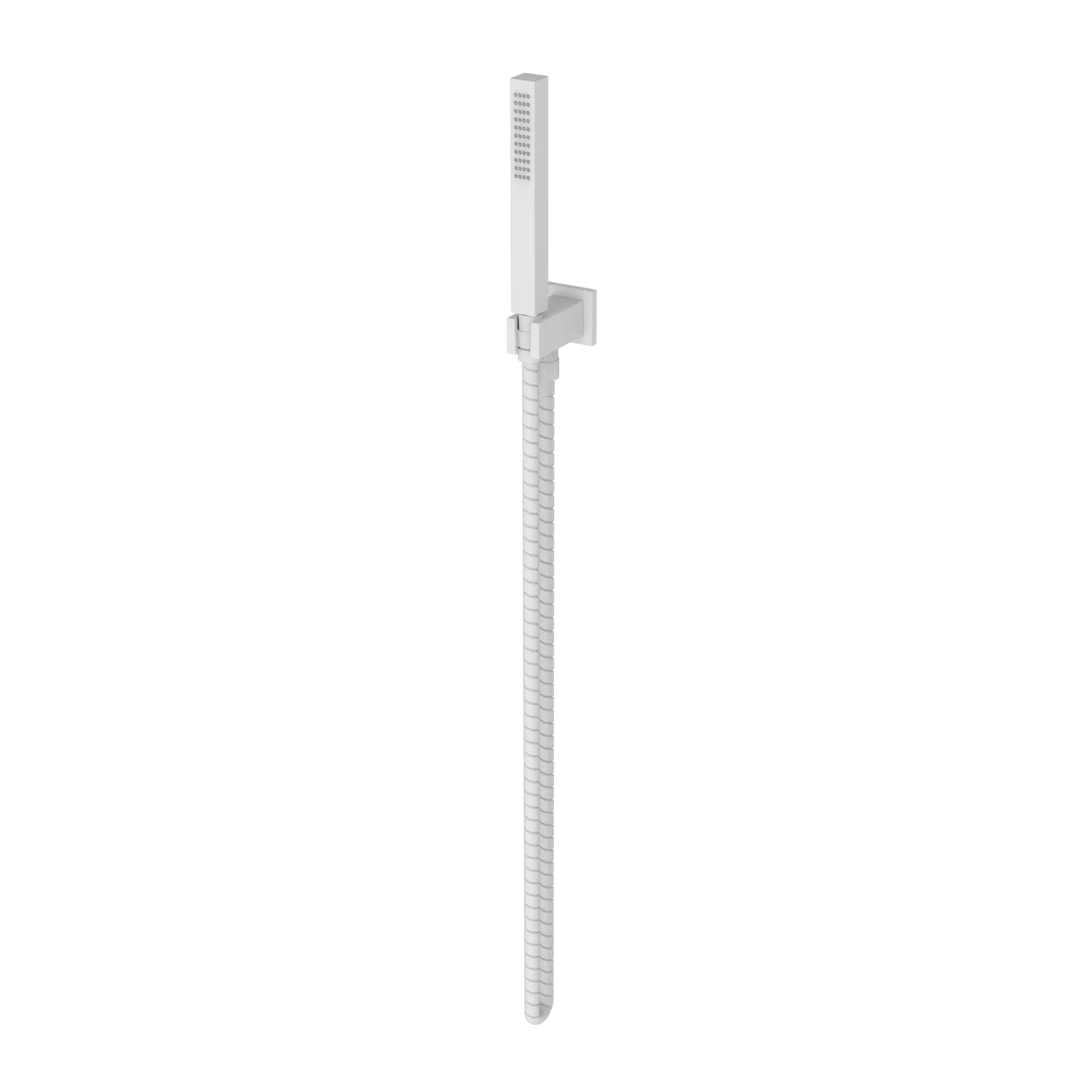 Newport Brass Tub & Shower Single Function Hand Shower Set by Newport Brass