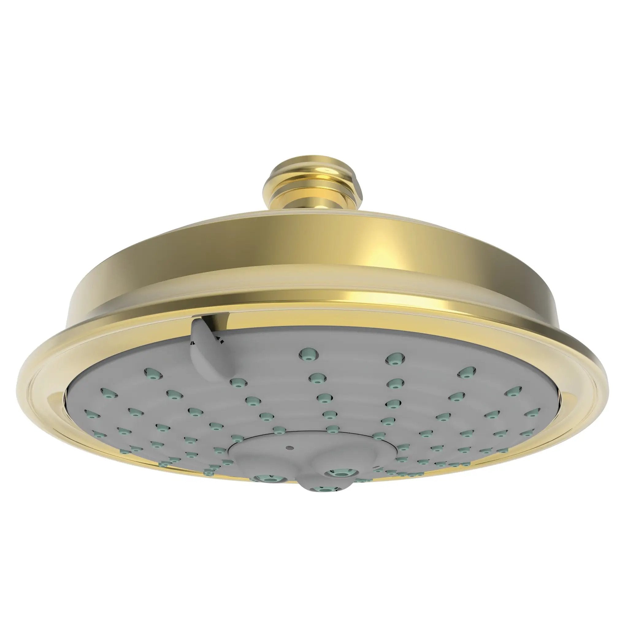 Newport Brass Tub & Shower Multifunction Showerhead by Newport Brass