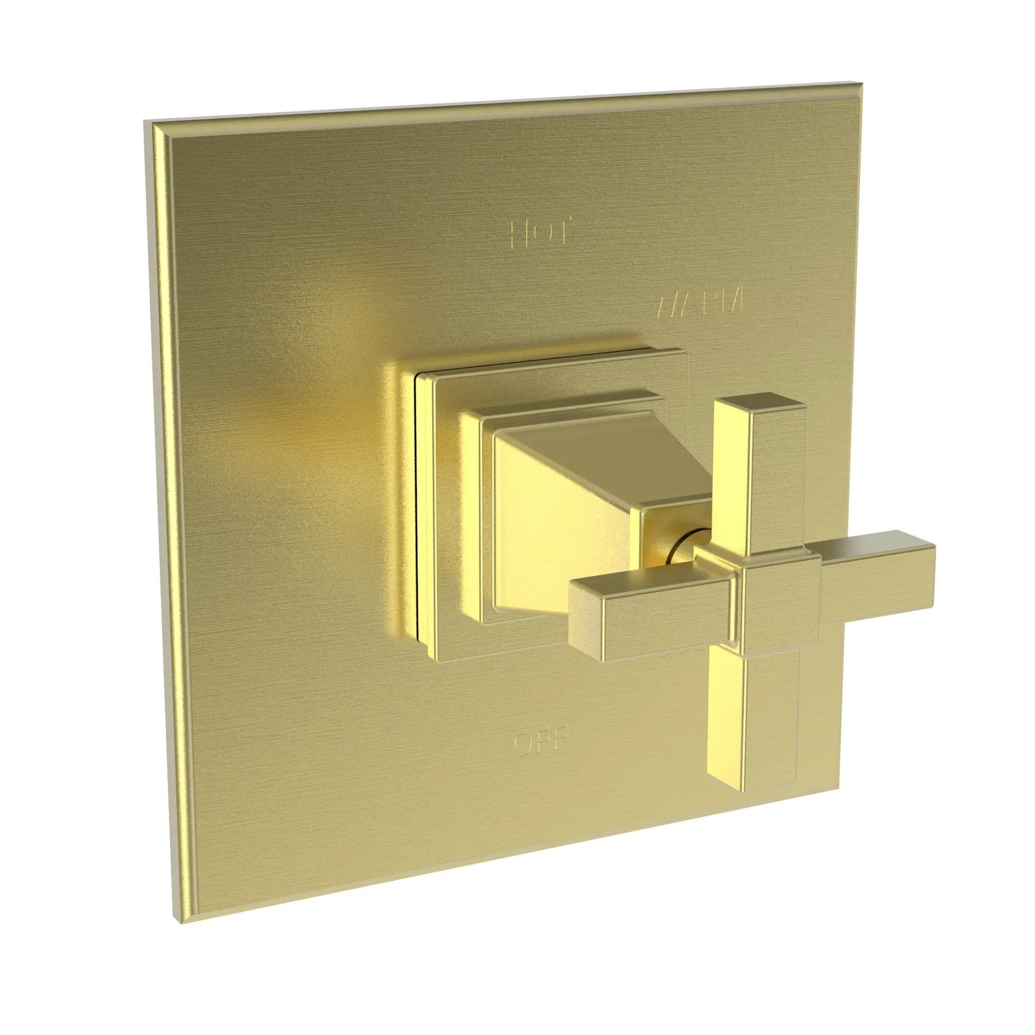 Newport Brass Malvina Balanced Pressure Shower Trim Plate with Handle. Less showerhead, arm and flange. by Newport Brass