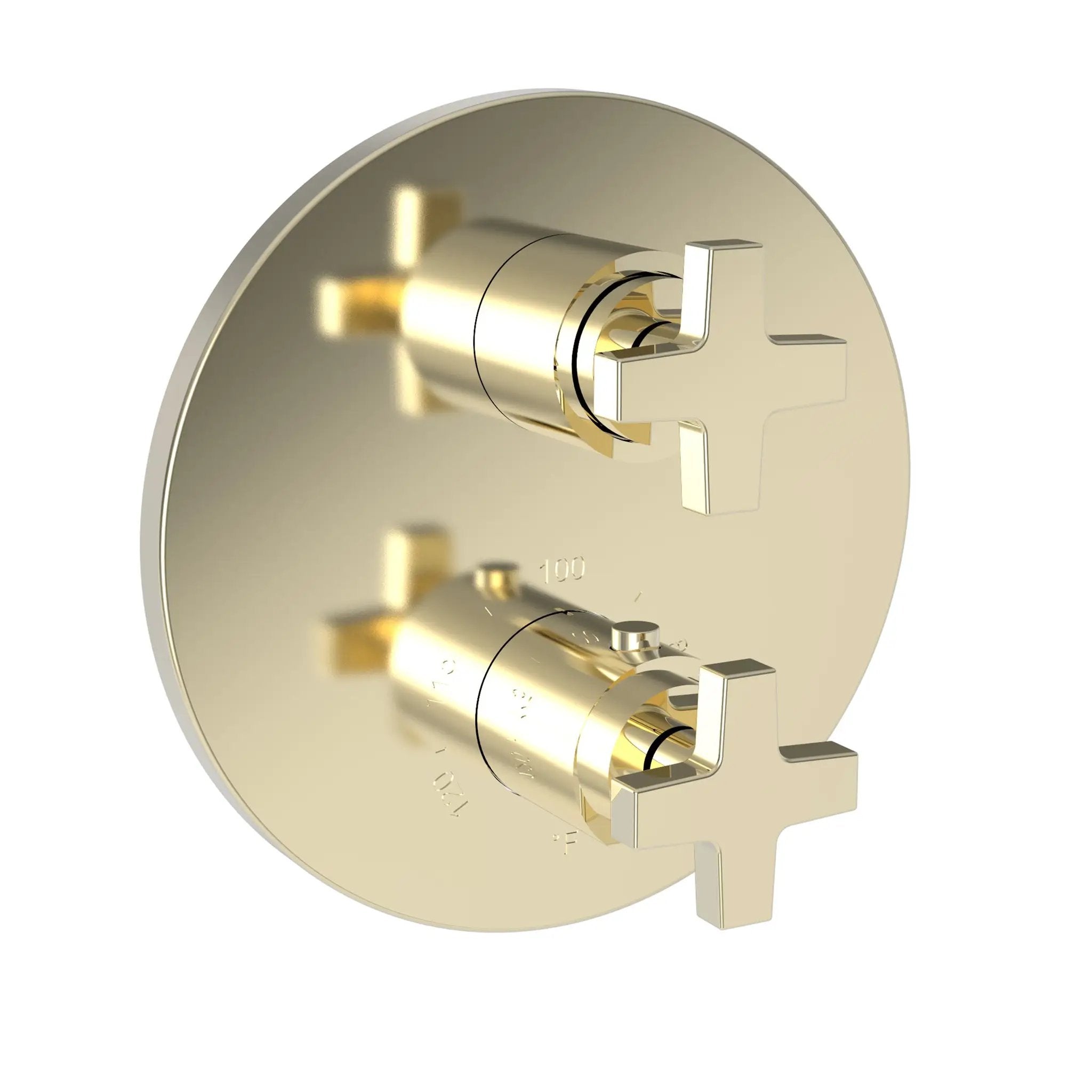 Newport Brass Dorrance 1/2" Round Thermostatic Trim Plate with Handle by Newport Brass