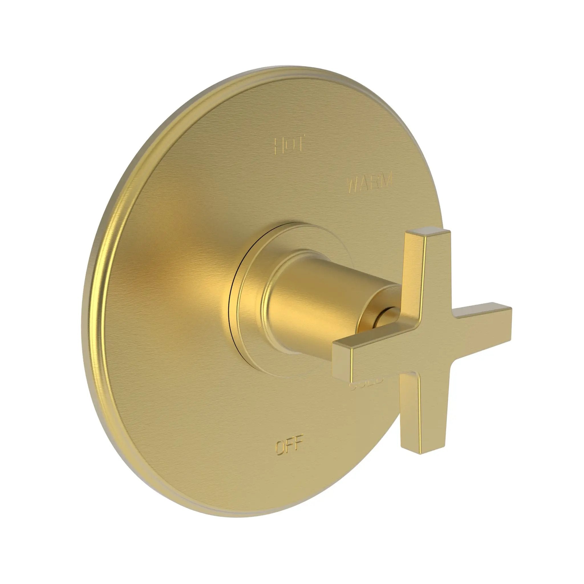 Newport Brass Dorrance Balanced Pressure Shower Trim Plate with Handle. Less showerhead, arm and flange. by Newport Brass
