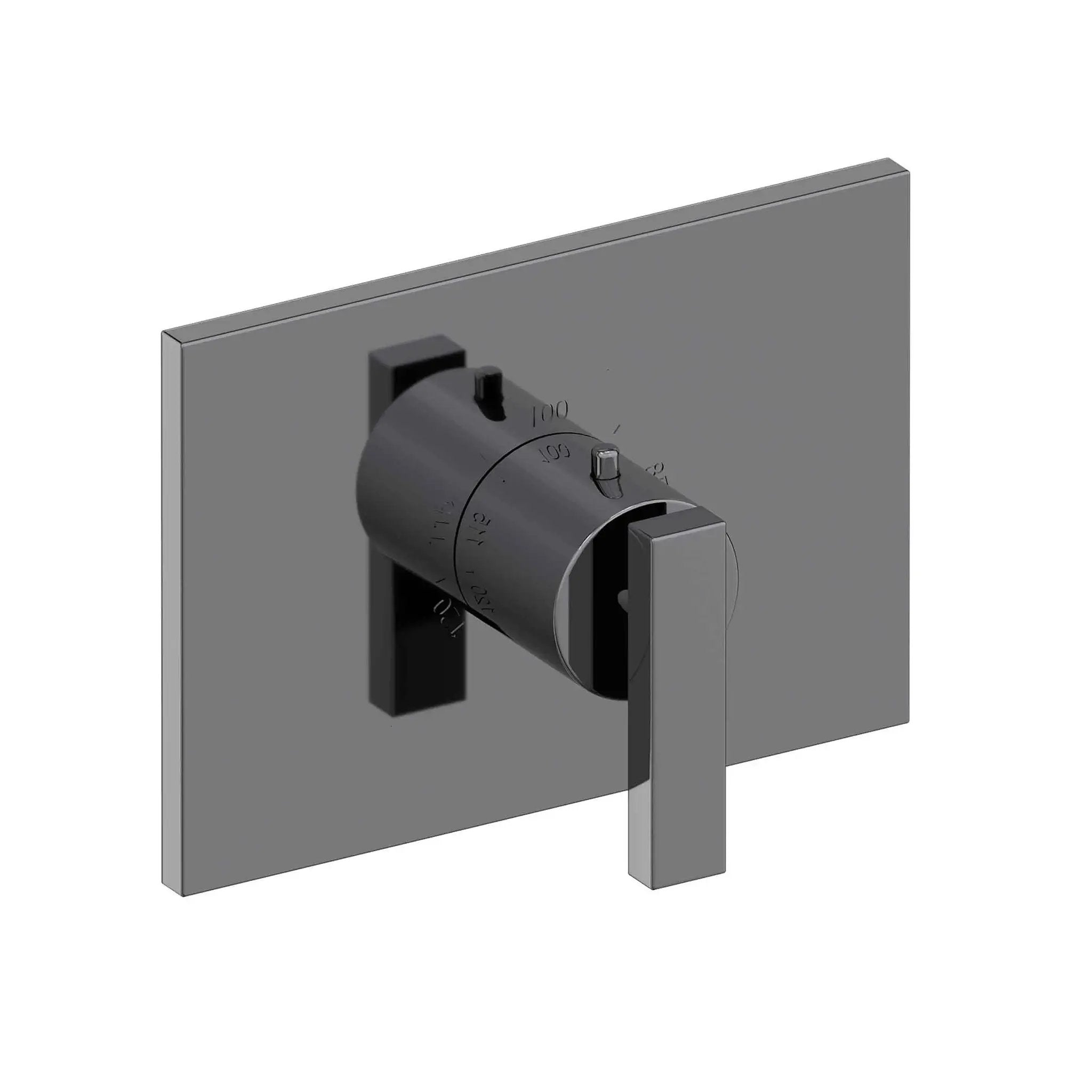 Newport Brass Secant 3/4" Rectangular Thermostatic Trim Plate with Handle by Newport Brass