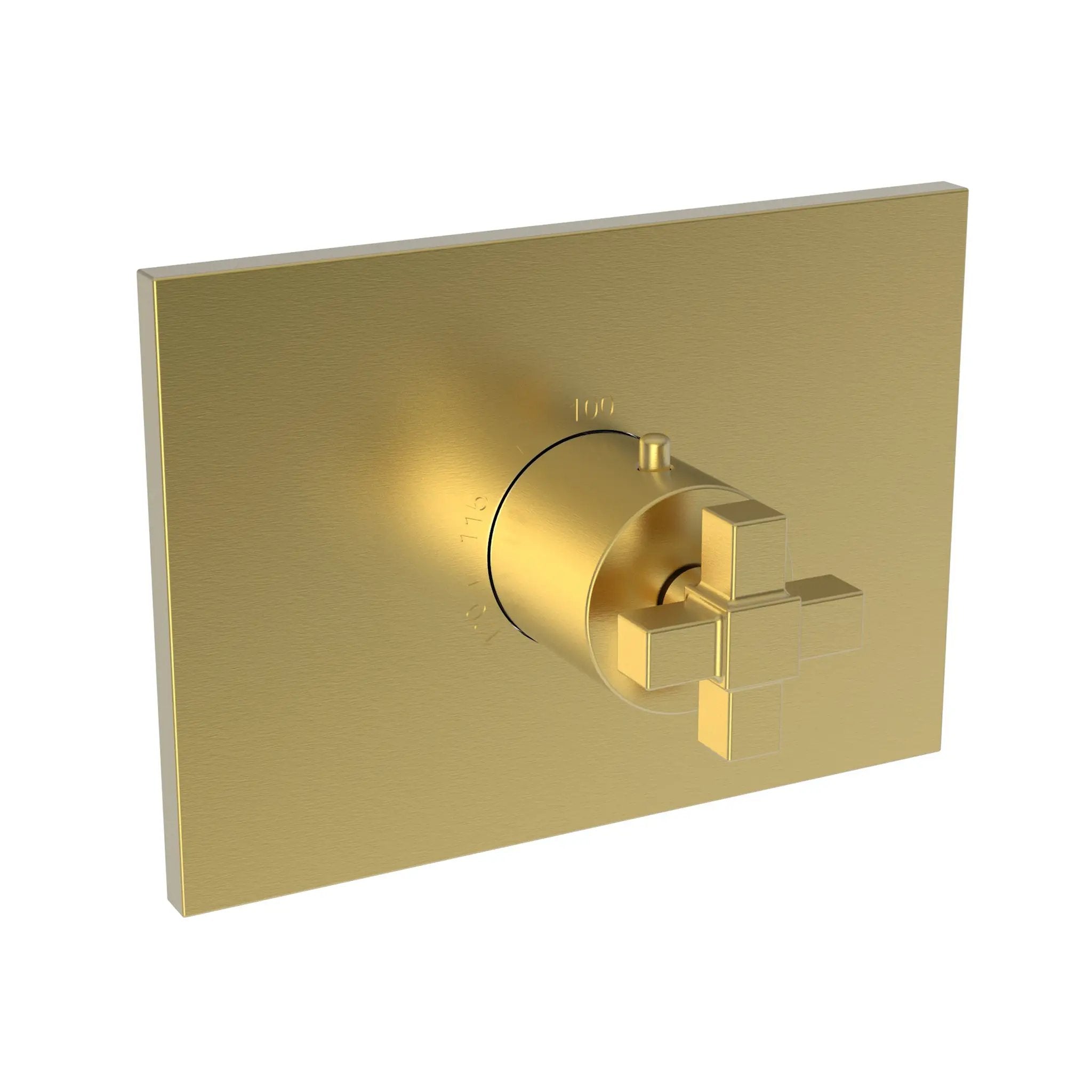 Newport Brass Malvina 3/4" Square Thermostatic Trim Plate with Handle by Newport Brass