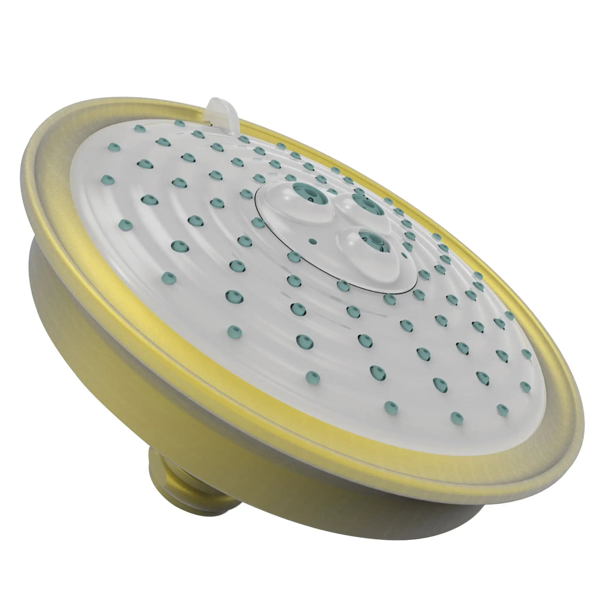 Newport Brass Tub & Shower Multifunction Showerhead by Newport Brass