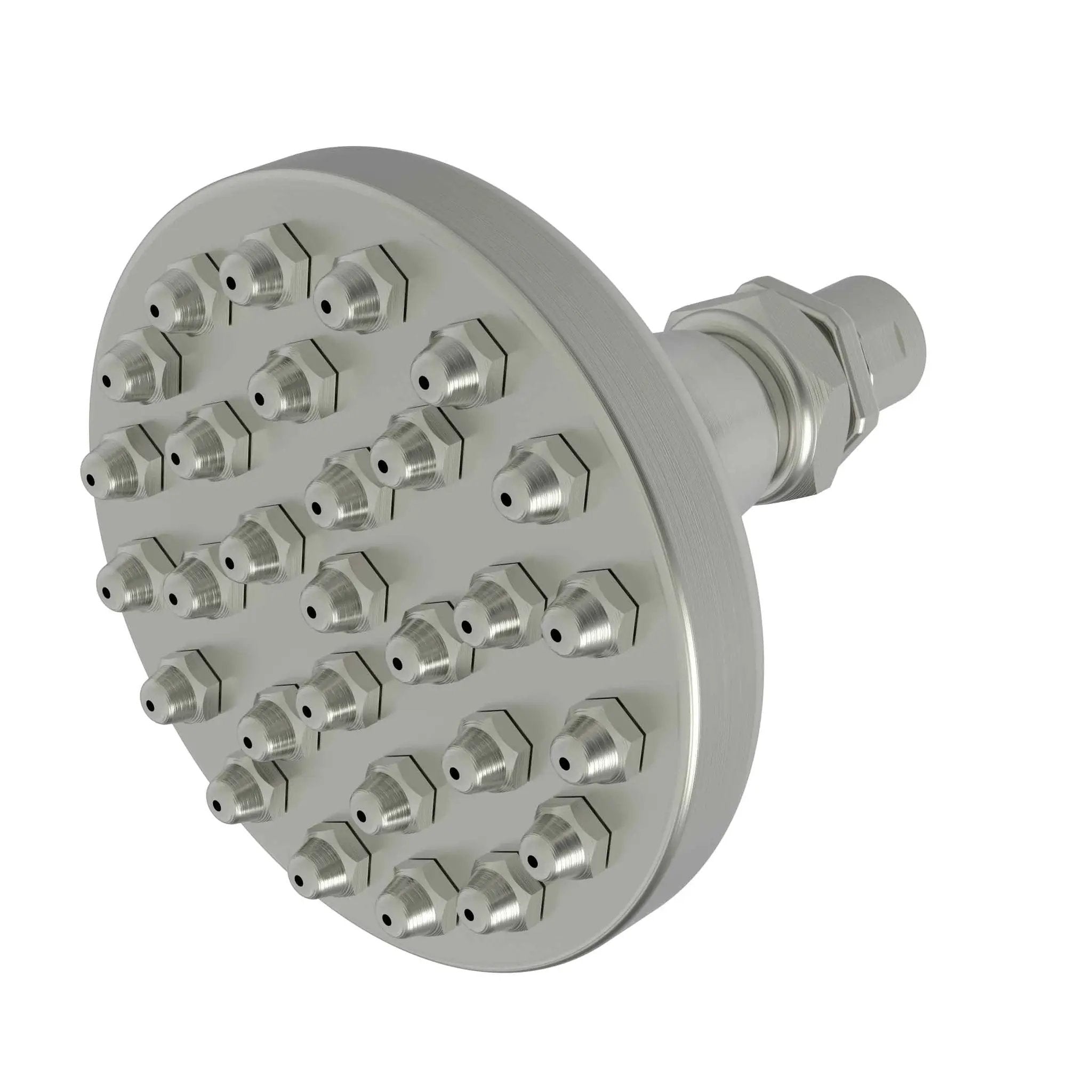 Newport Brass Tub & Shower Single Function Shower Head by Newport Brass