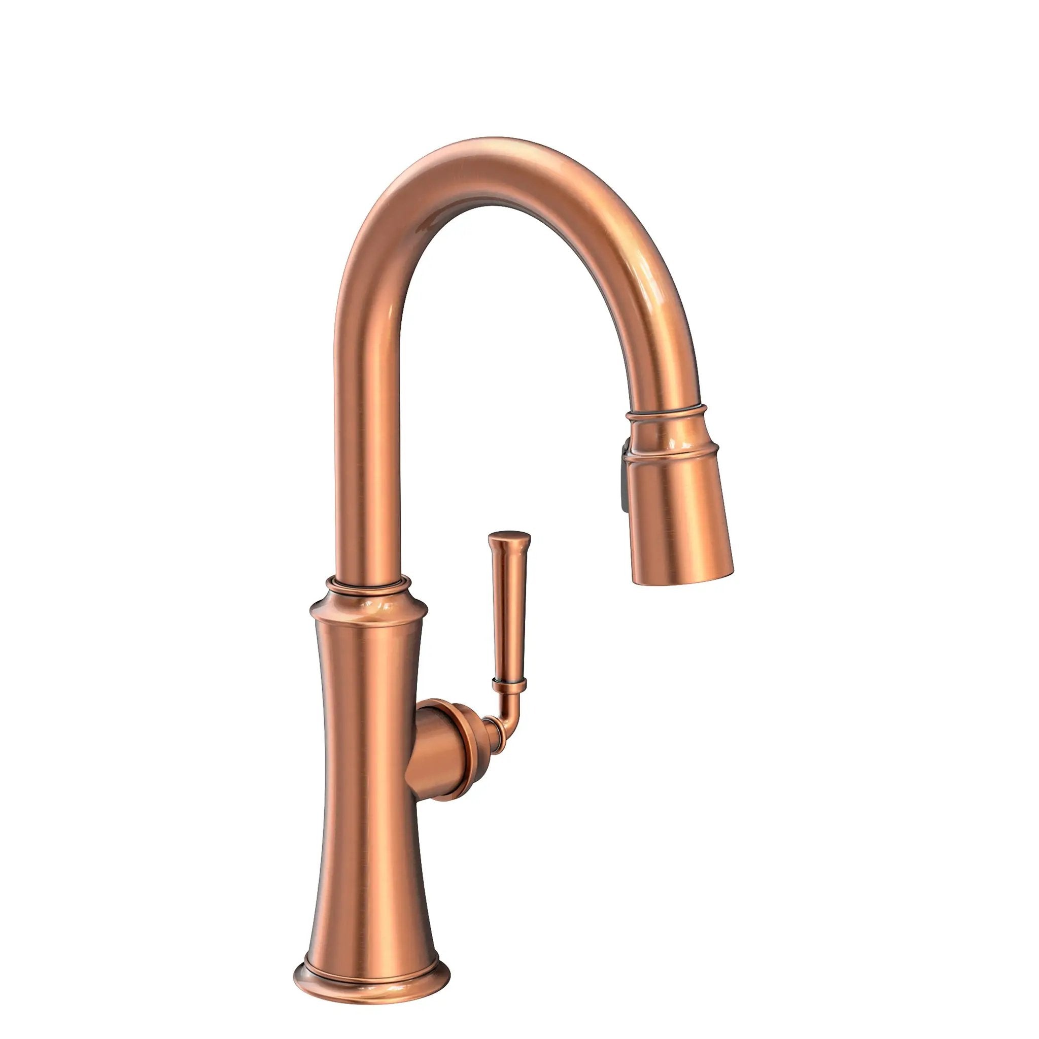 Newport Brass Stripling Prep/Bar Pull Down Faucet by Newport Brass