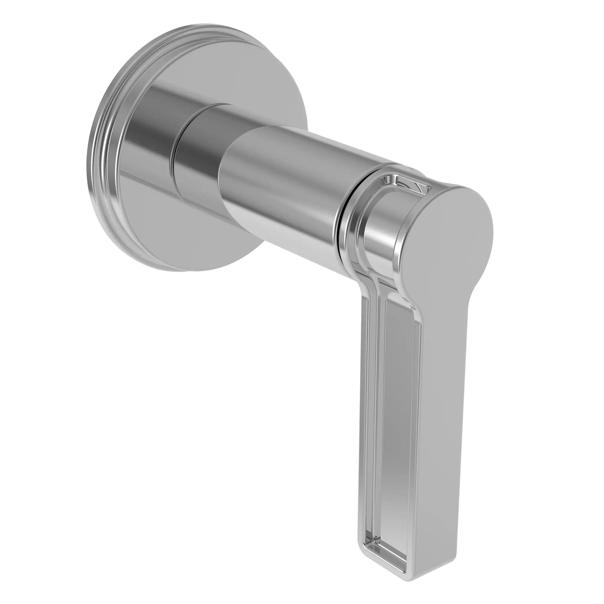 polished chrome control handle