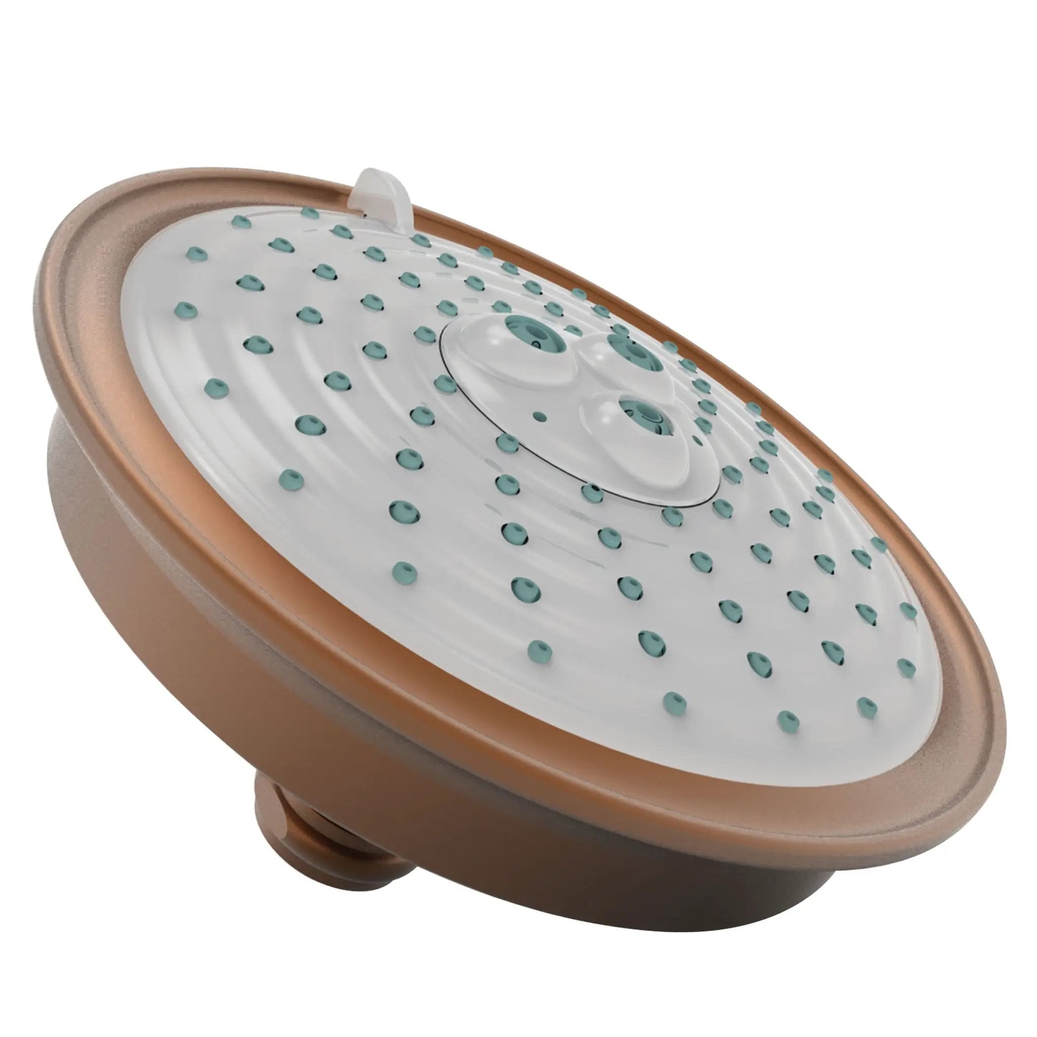 Newport Brass Tub & Shower Multifunction Showerhead by Newport Brass