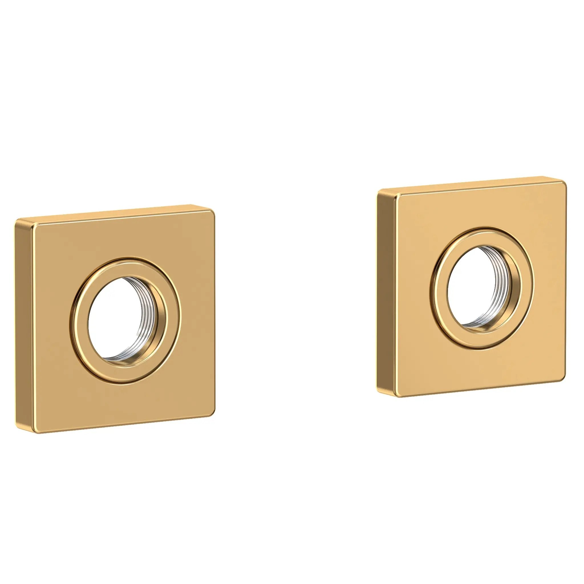 Newport Brass Secant Grab Bar Decorative Rings & Mounting Kit by Newport Brass