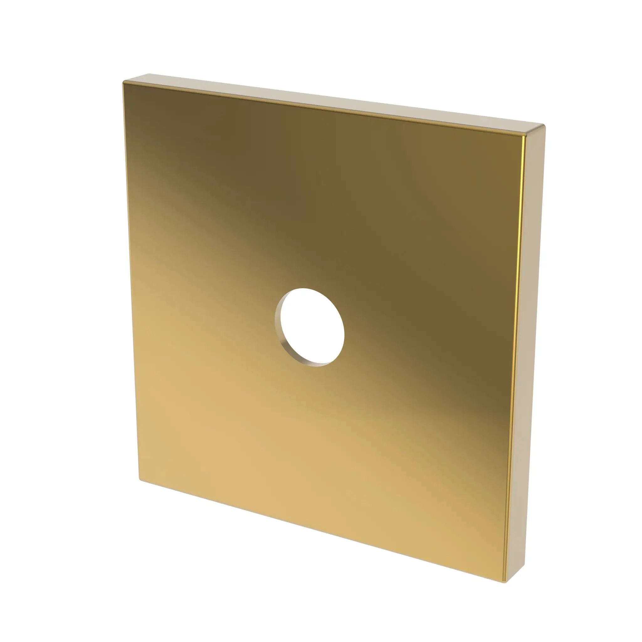 Newport Brass Tub & Shower Diverter Plate by Newport Brass