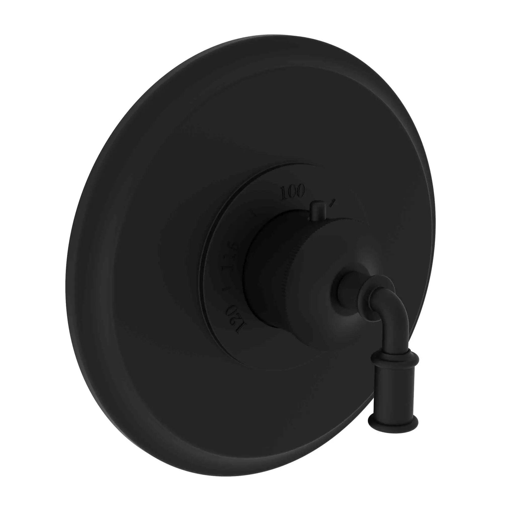Newport Brass Taft 3/4" Round Thermostatic Trim Plate with Handle by Newport Brass