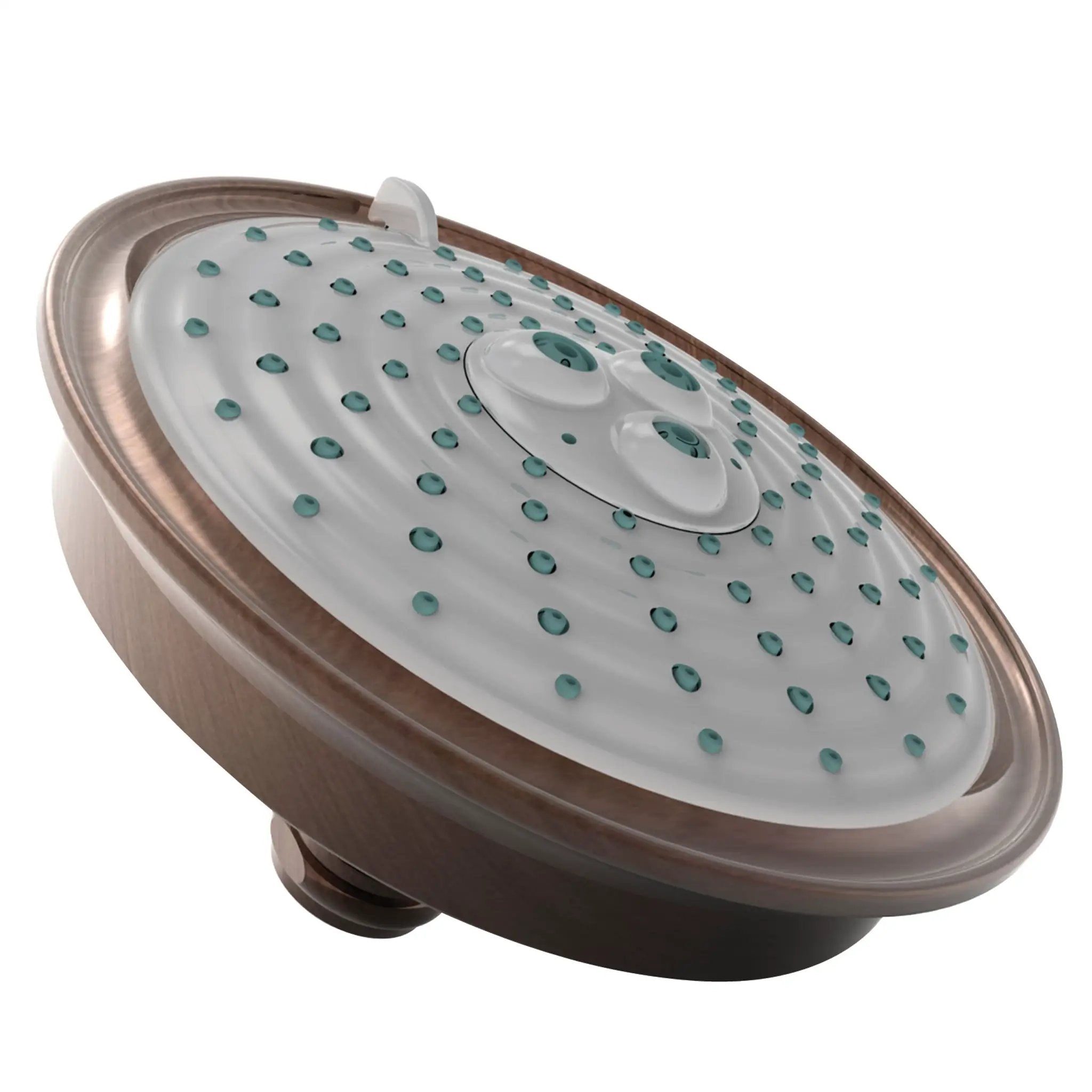 Newport Brass Tub & Shower Multifunction Showerhead by Newport Brass