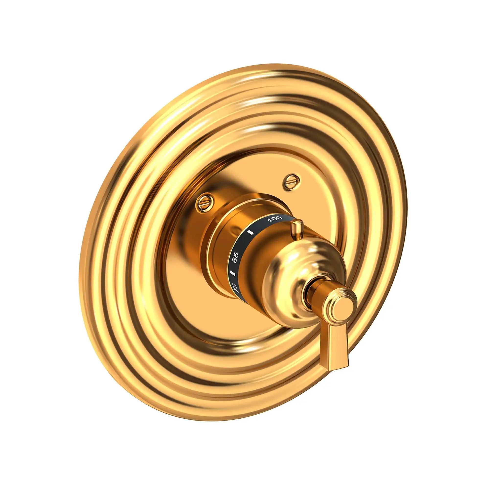 Newport Brass Astor 3/4" Round Thermostatic Trim Plate with Handle by Newport Brass