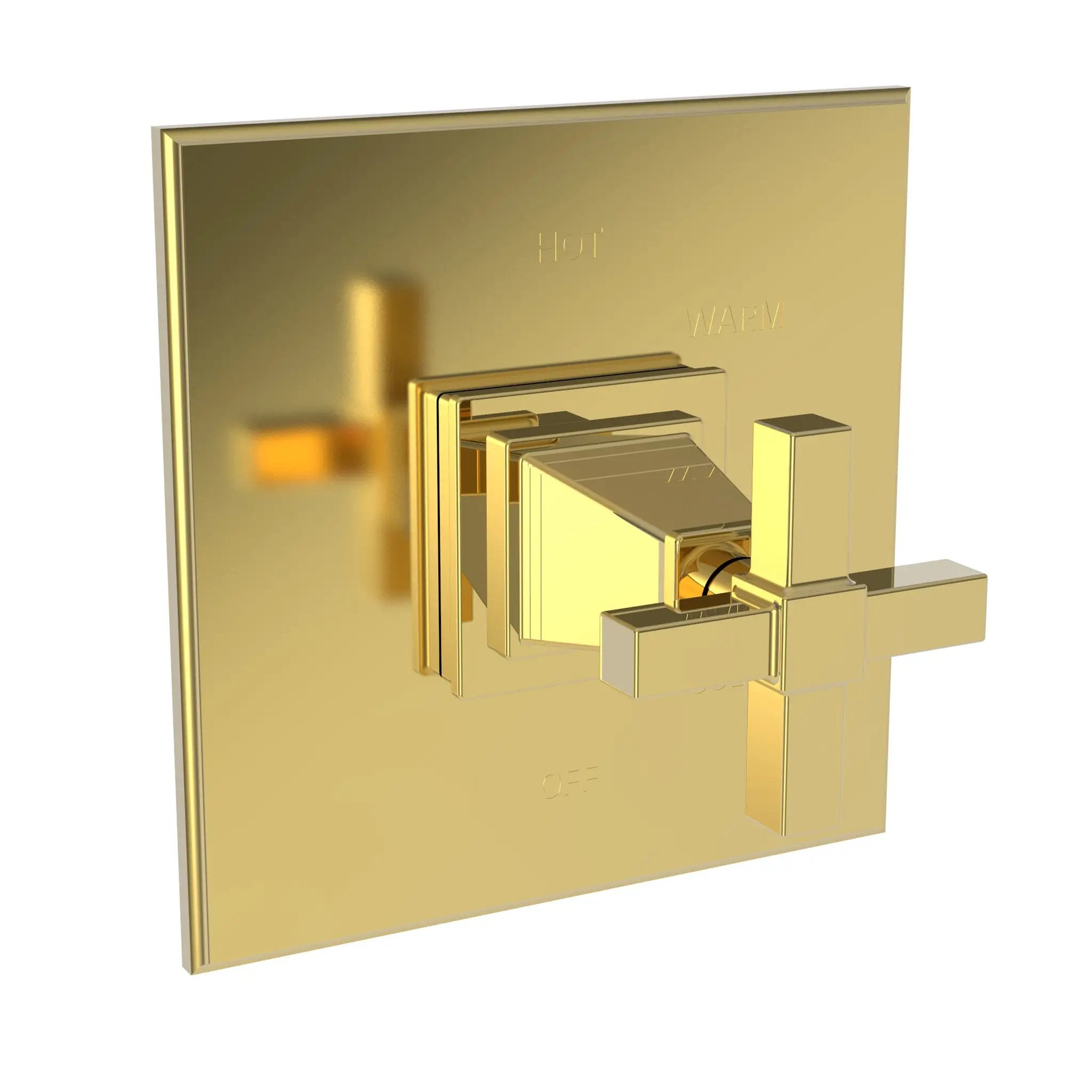 Newport Brass Malvina Balanced Pressure Shower Trim Plate with Handle. Less showerhead, arm and flange. by Newport Brass