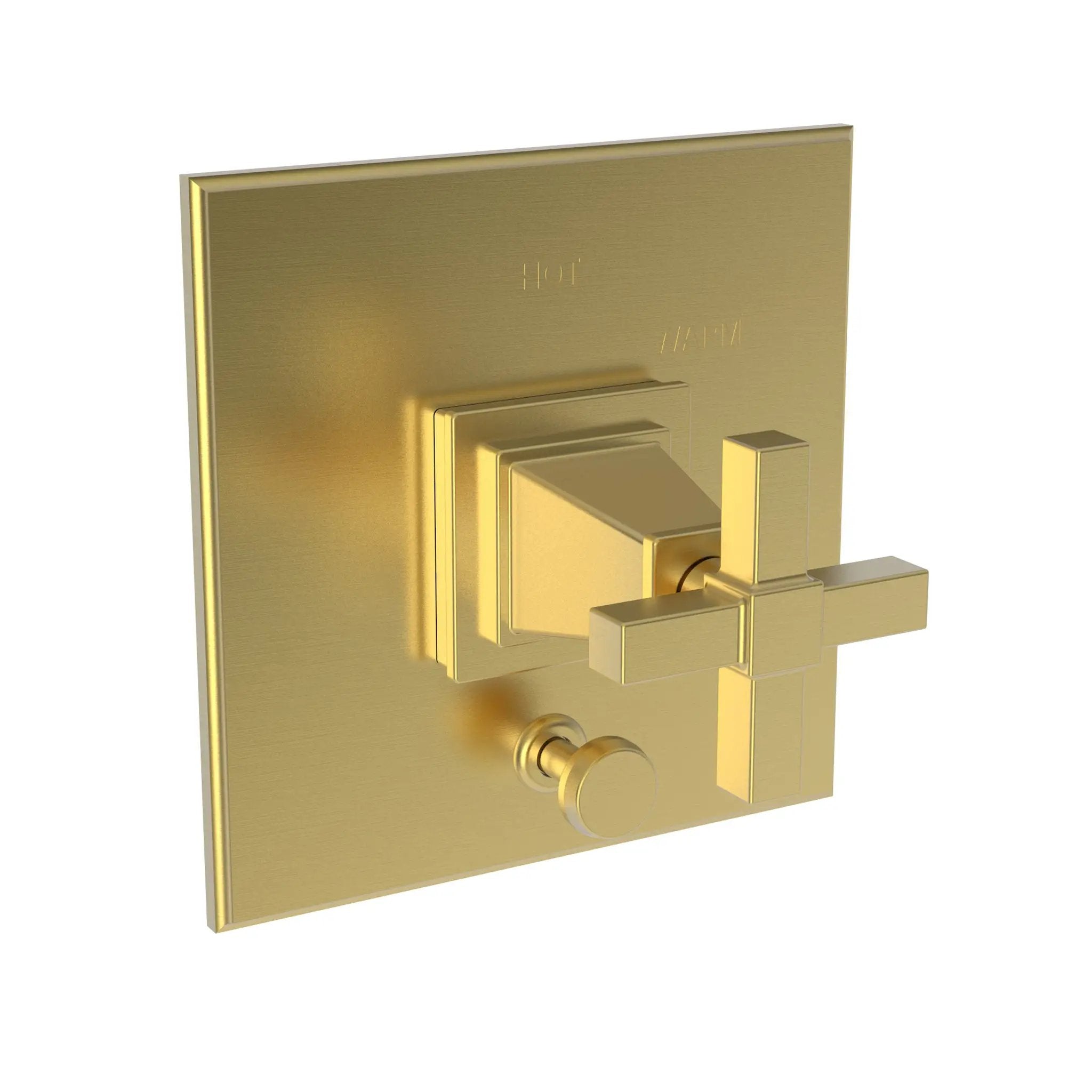 Newport Brass Malvina Balanced Pressure Tub & Shower Diverter Plate with Handle by Newport Brass