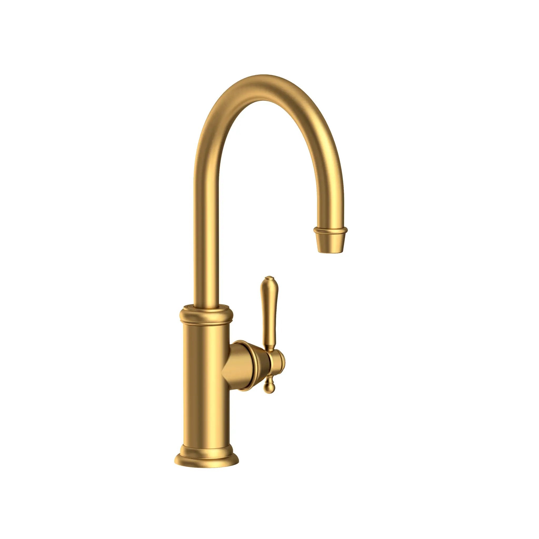 Newport Brass Chesterfield Prep/Bar Kitchen Faucet by Newport Brass