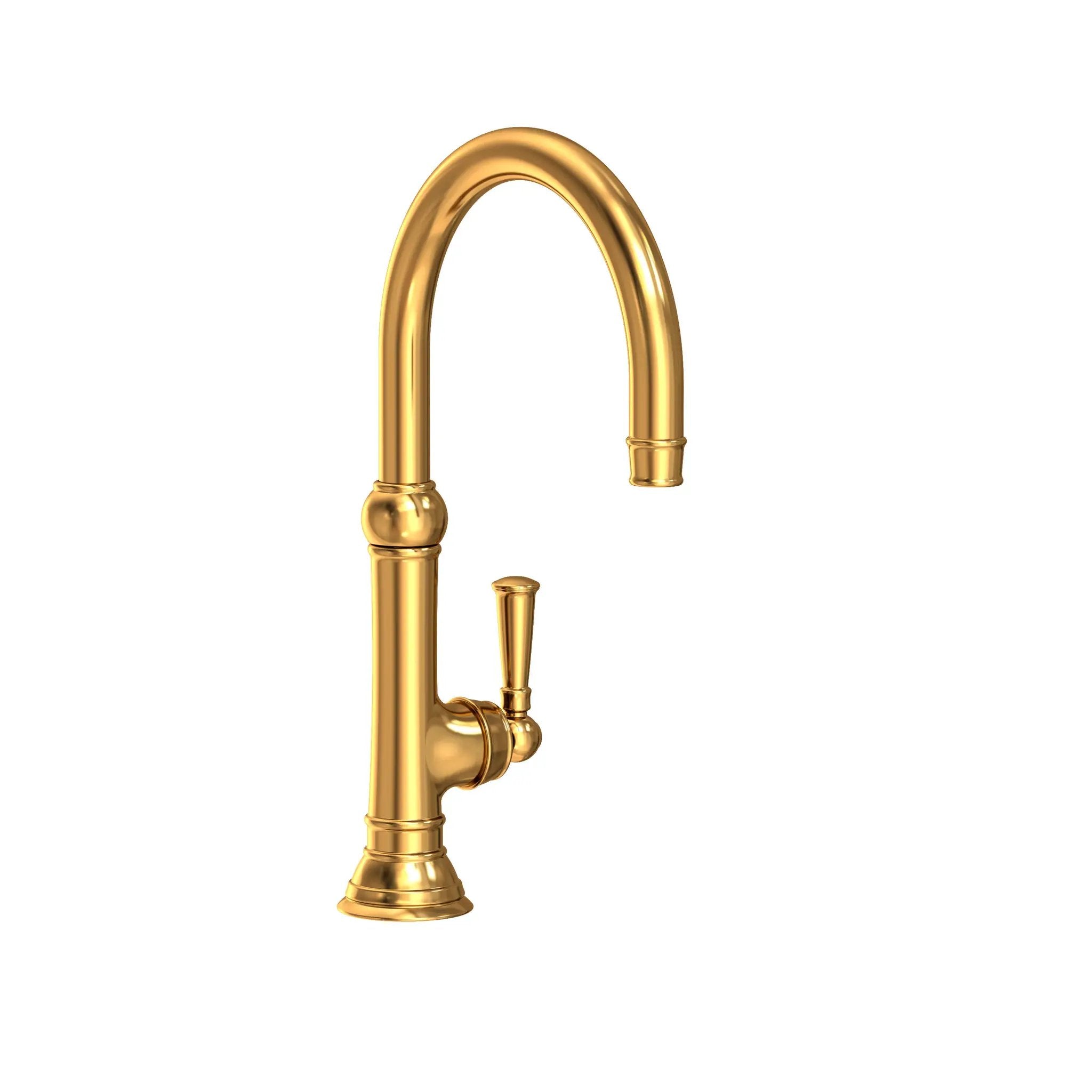 Newport Brass Jacobean Prep/Bar Kitchen Faucet by Newport Brass