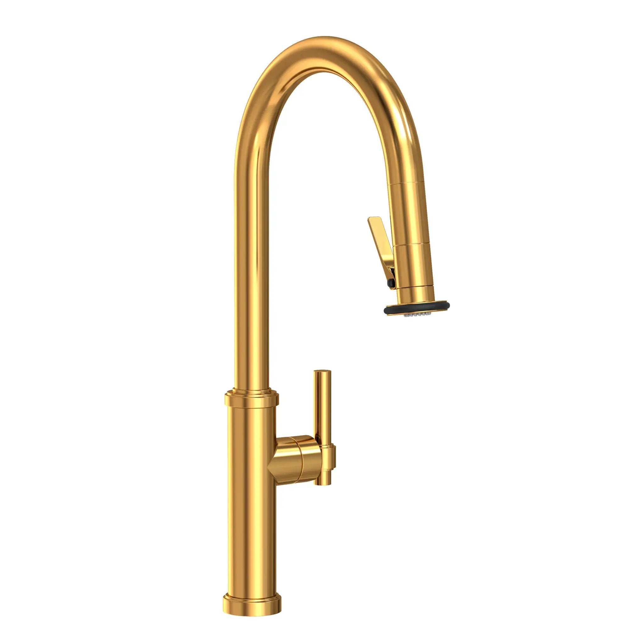 Newport Brass Seager Pull-Down Kitchen Faucet with Lever Controled Spray by Newport Brass