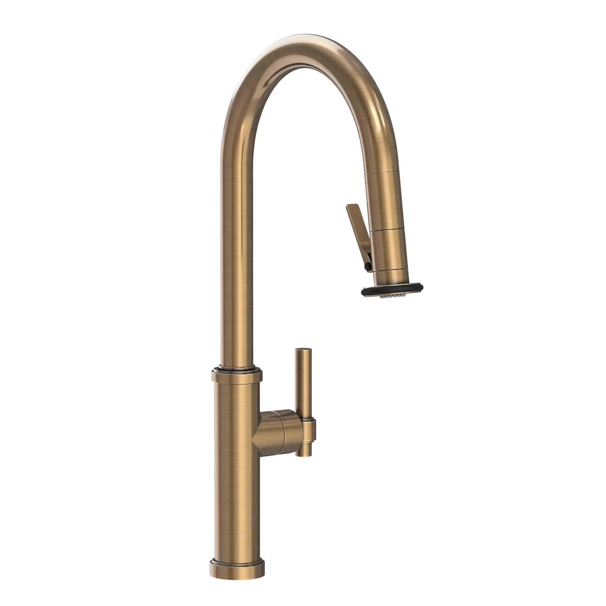 Newport Brass Seager Pull-Down Kitchen Faucet with Lever Controled Spray by Newport Brass