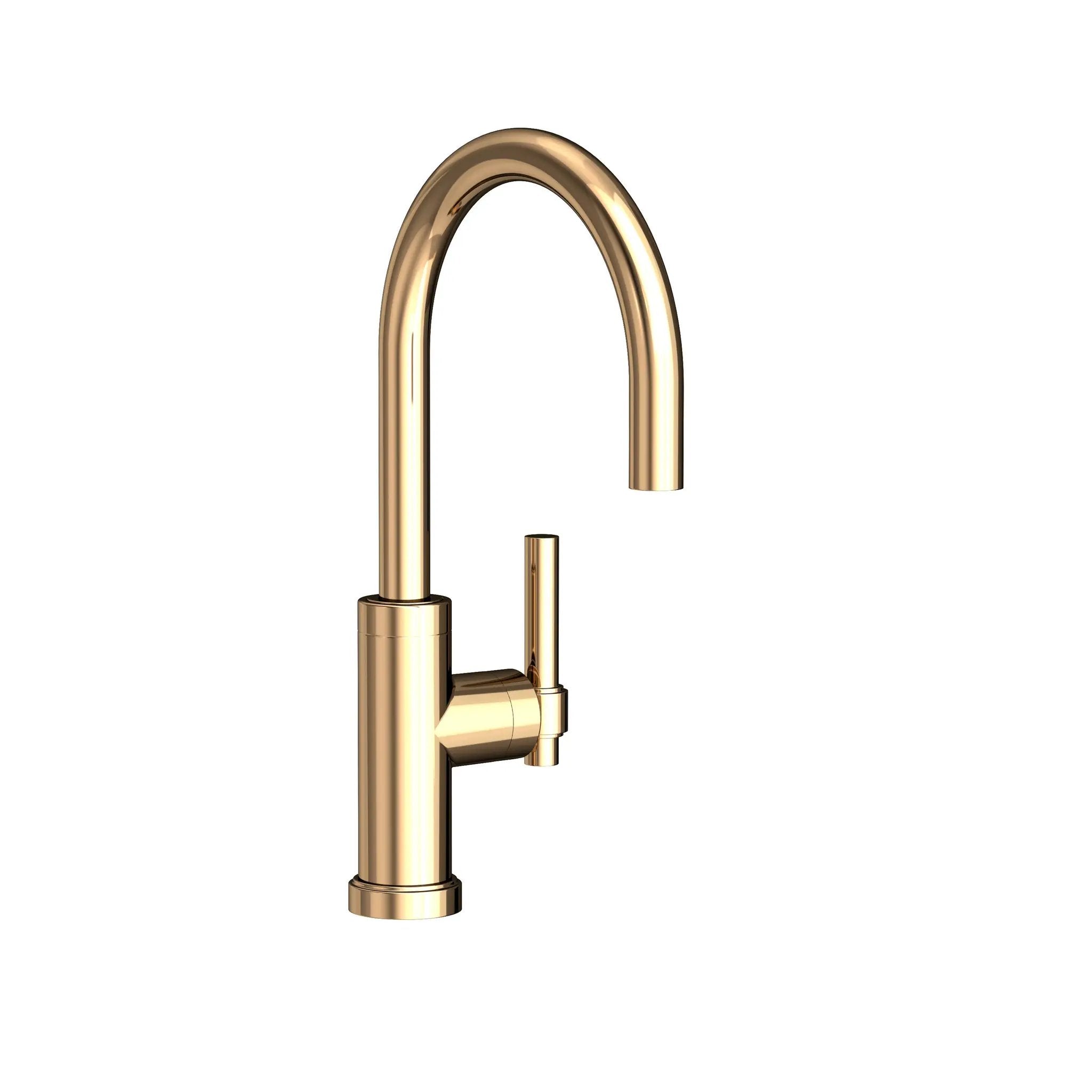 Newport Brass Seager Prep/Bar Kitchen Faucet by Newport Brass