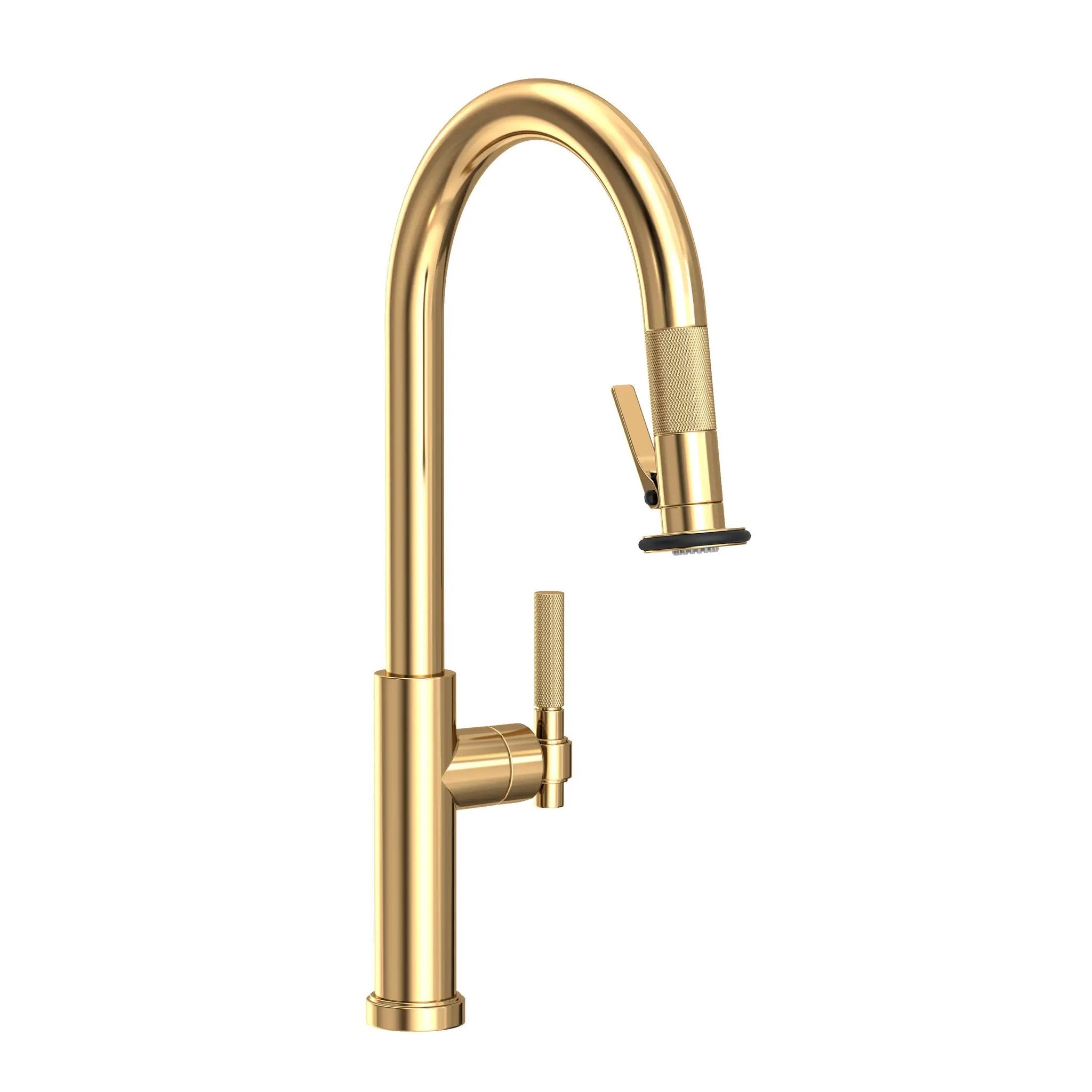 Newport Brass Muncy Pull-Down Kitchen Faucet with Lever Controled Spray by Newport Brass