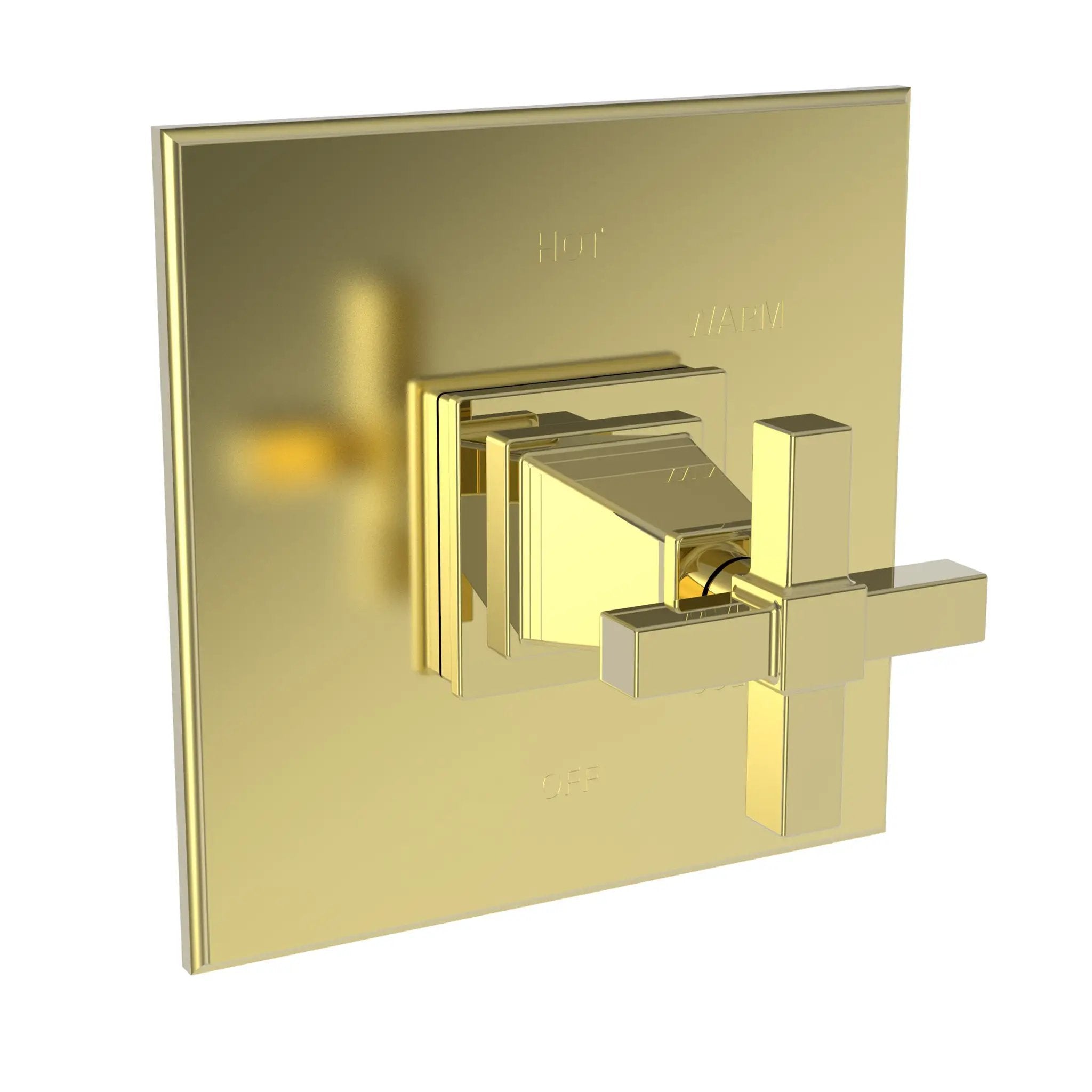 Newport Brass Malvina Balanced Pressure Shower Trim Plate with Handle. Less showerhead, arm and flange. by Newport Brass