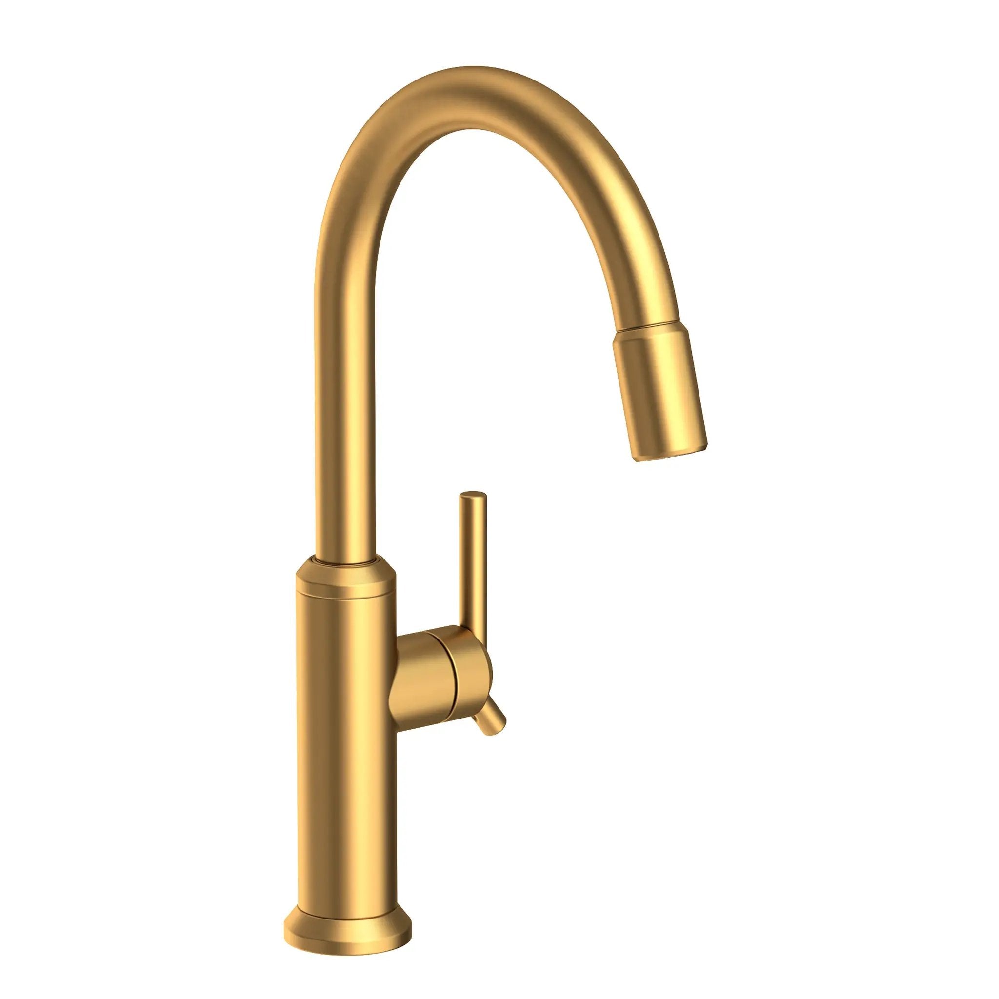 Newport Brass Jeter Pull-down Kitchen Faucet by Newport Brass