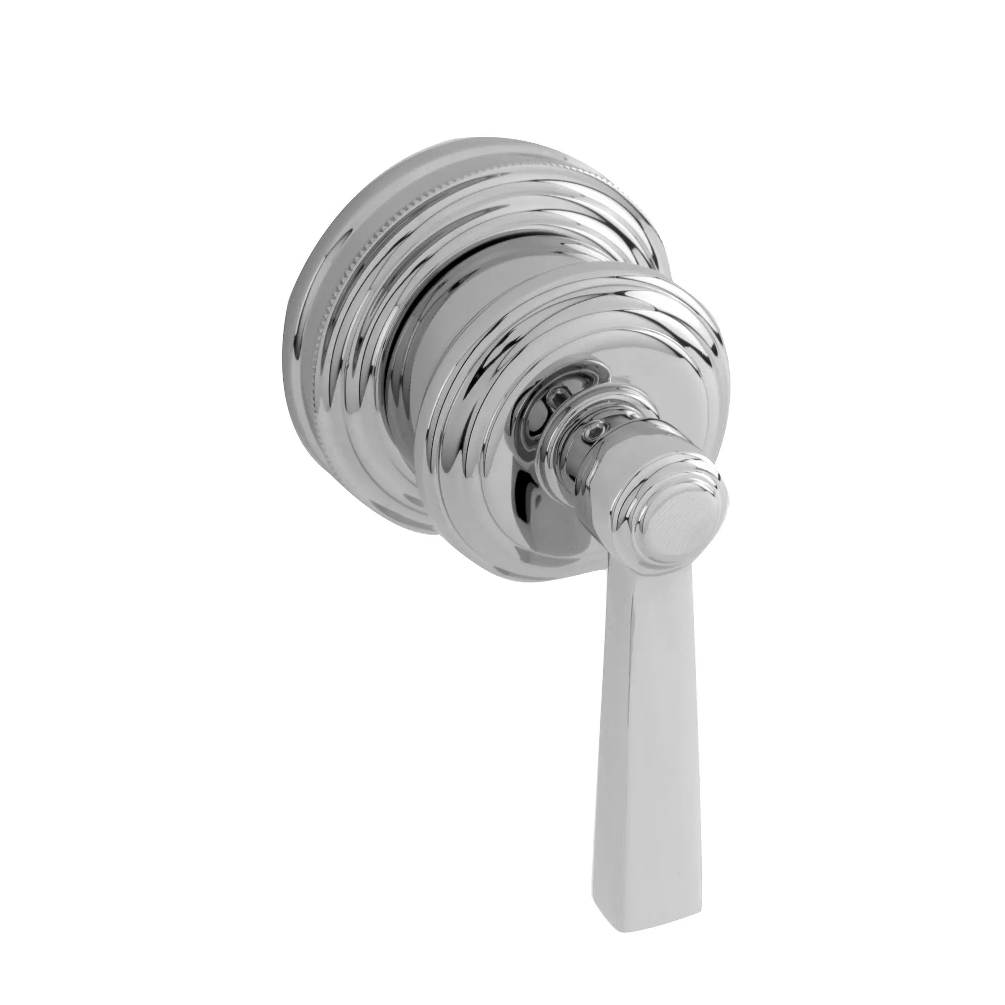 polished chrome control handle