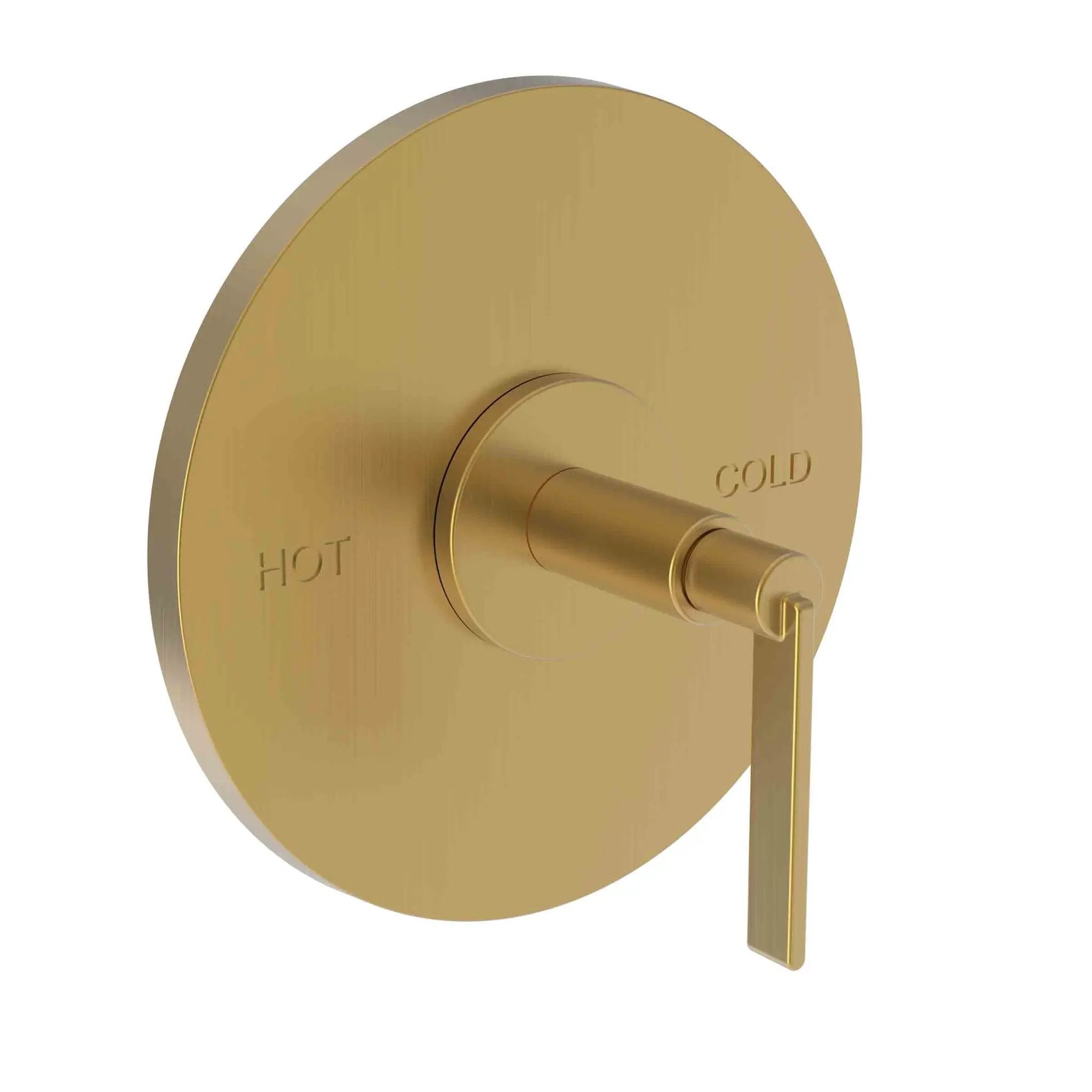 Newport Brass Tolmin Balanced Pressure Shower Trim Plate with Handle. Less showerhead, arm and flange. by Newport Brass
