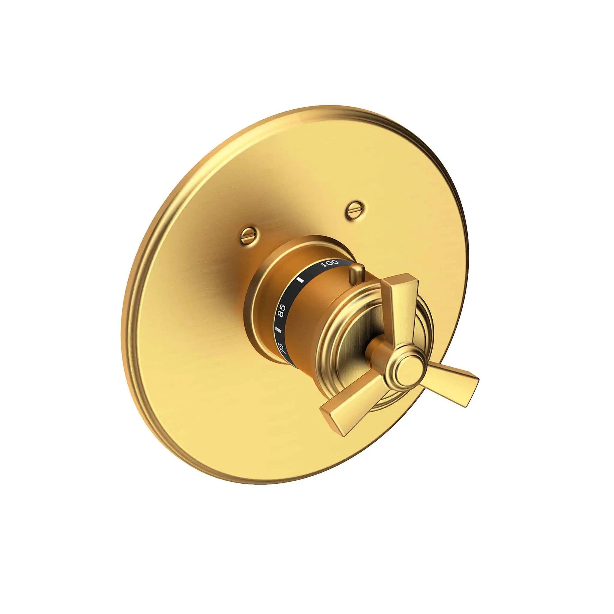 Newport Brass Miro 3/4" Round Thermostatic Trim Plate with Handle by Newport Brass