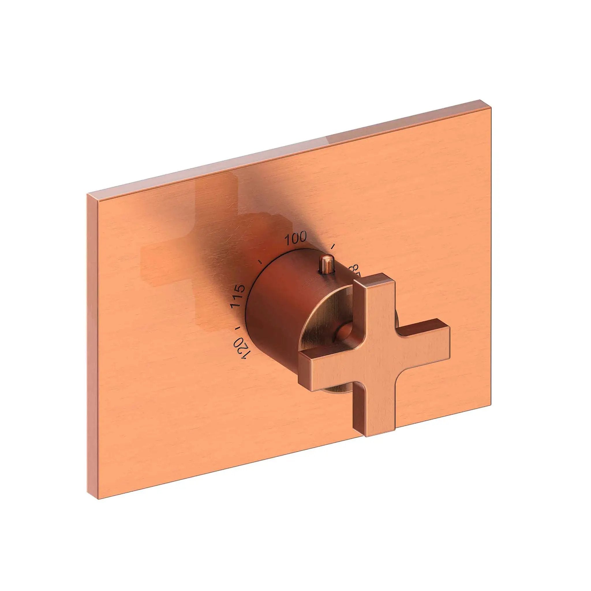 Newport Brass Secant 3/4" Rectangular Thermostatic Trim Plate with Handle by Newport Brass