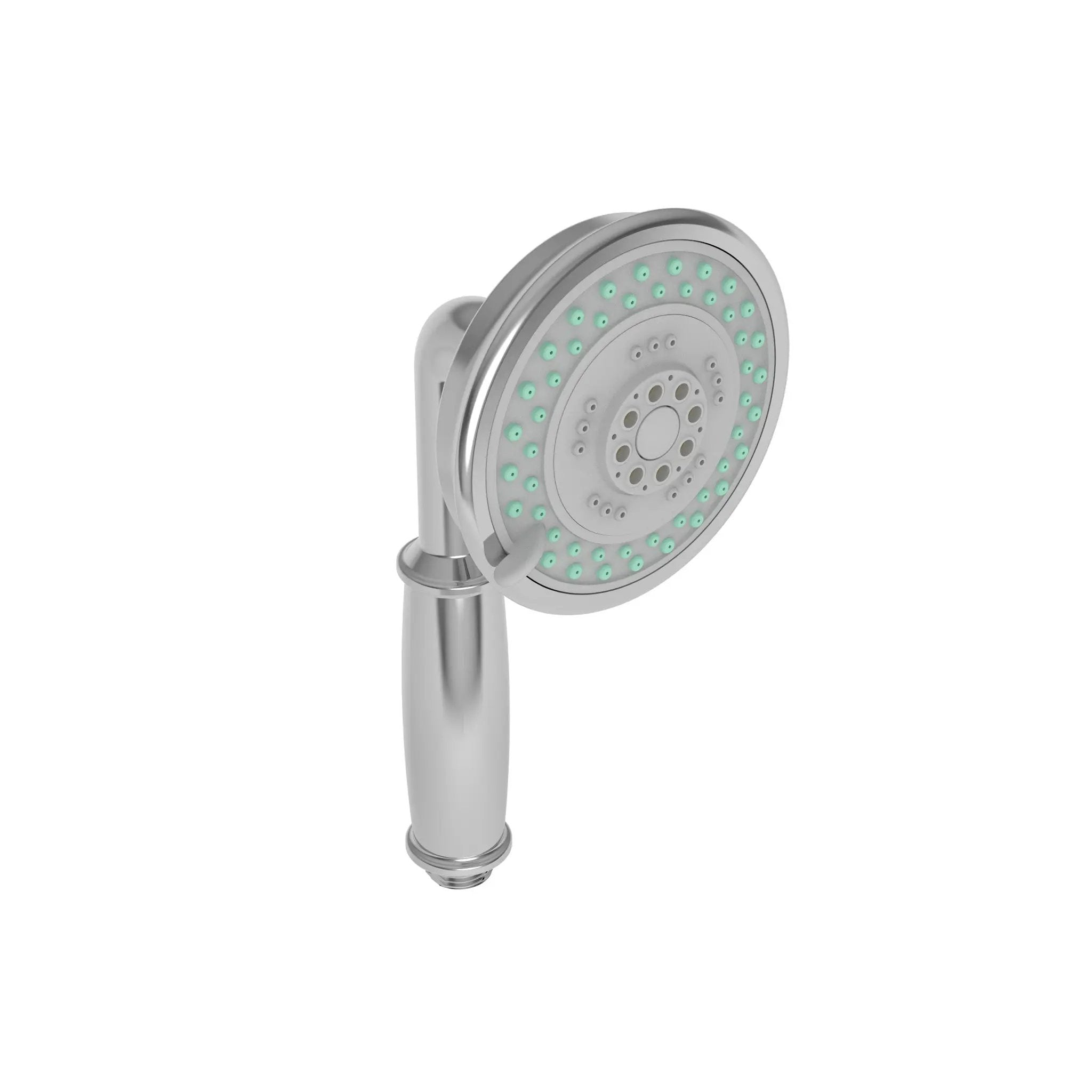polished chrome hand shower
