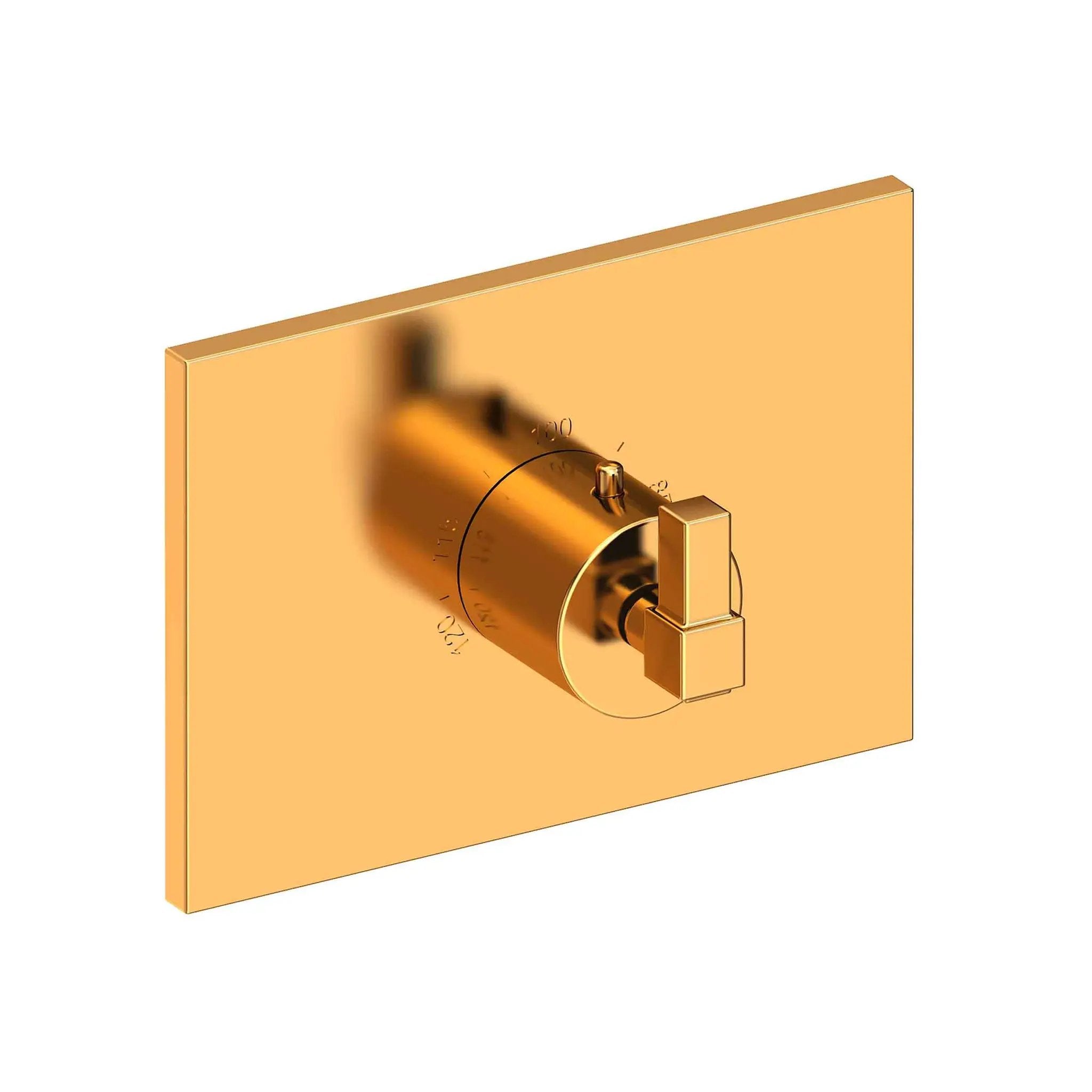 Newport Brass Malvina 3/4" Square Thermostatic Trim Plate with Handle by Newport Brass