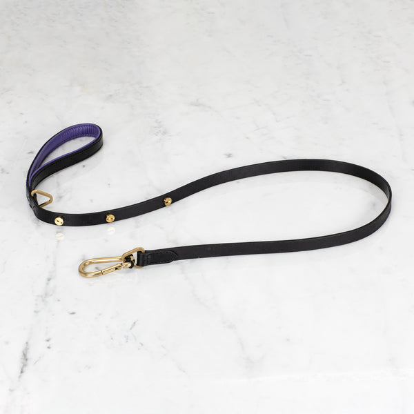 brass dog leash