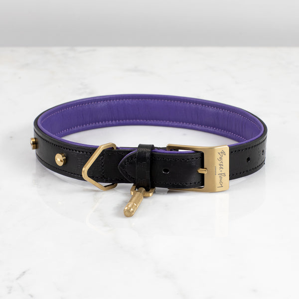 brass dog leash