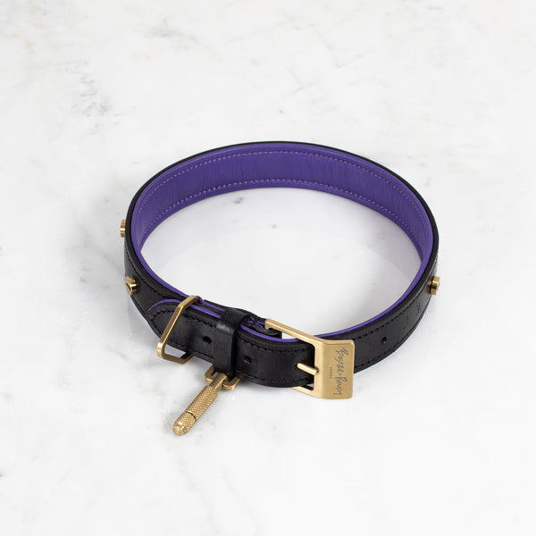 brass dog leash