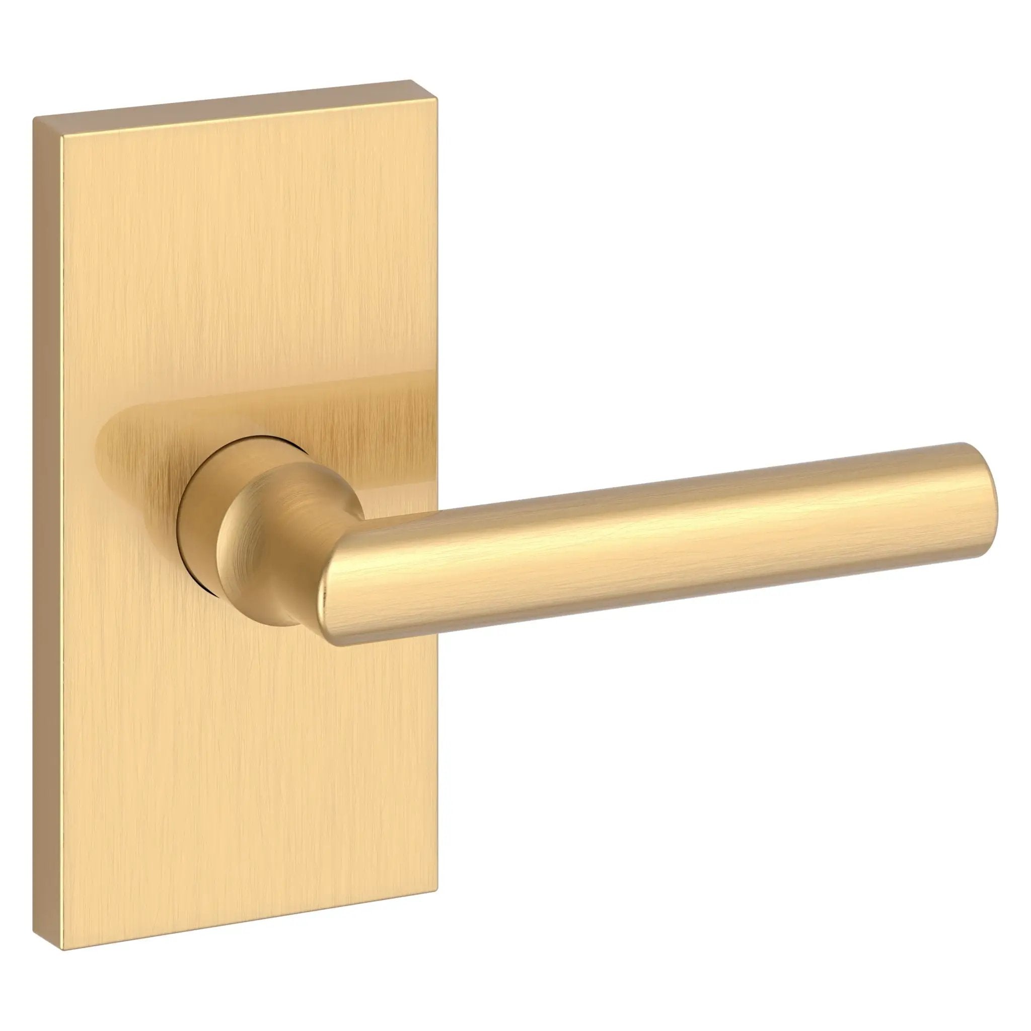 Baldwin Reserve Tube Lever and Contemporary 5" Rose by Baldwin