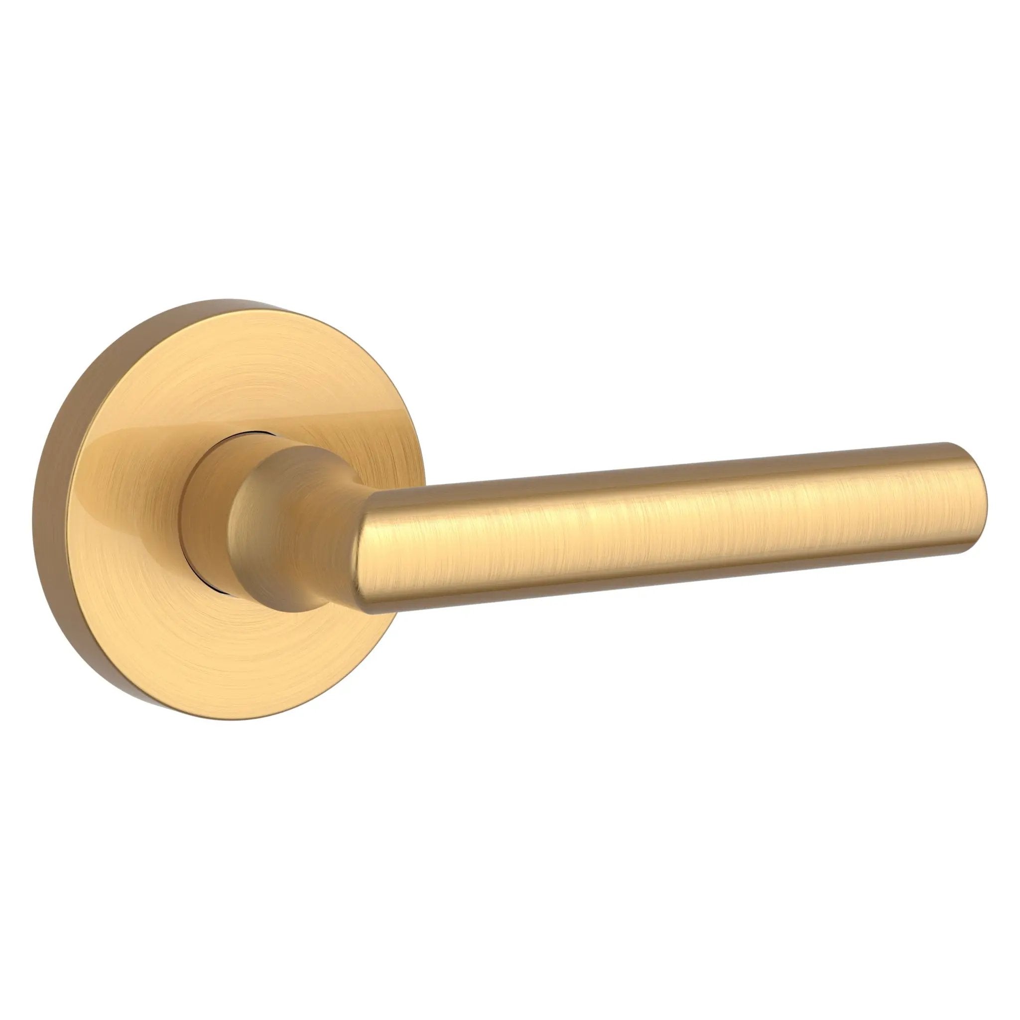 Baldwin Reserve Tube Lever and Contemporary Round Rose by Baldwin