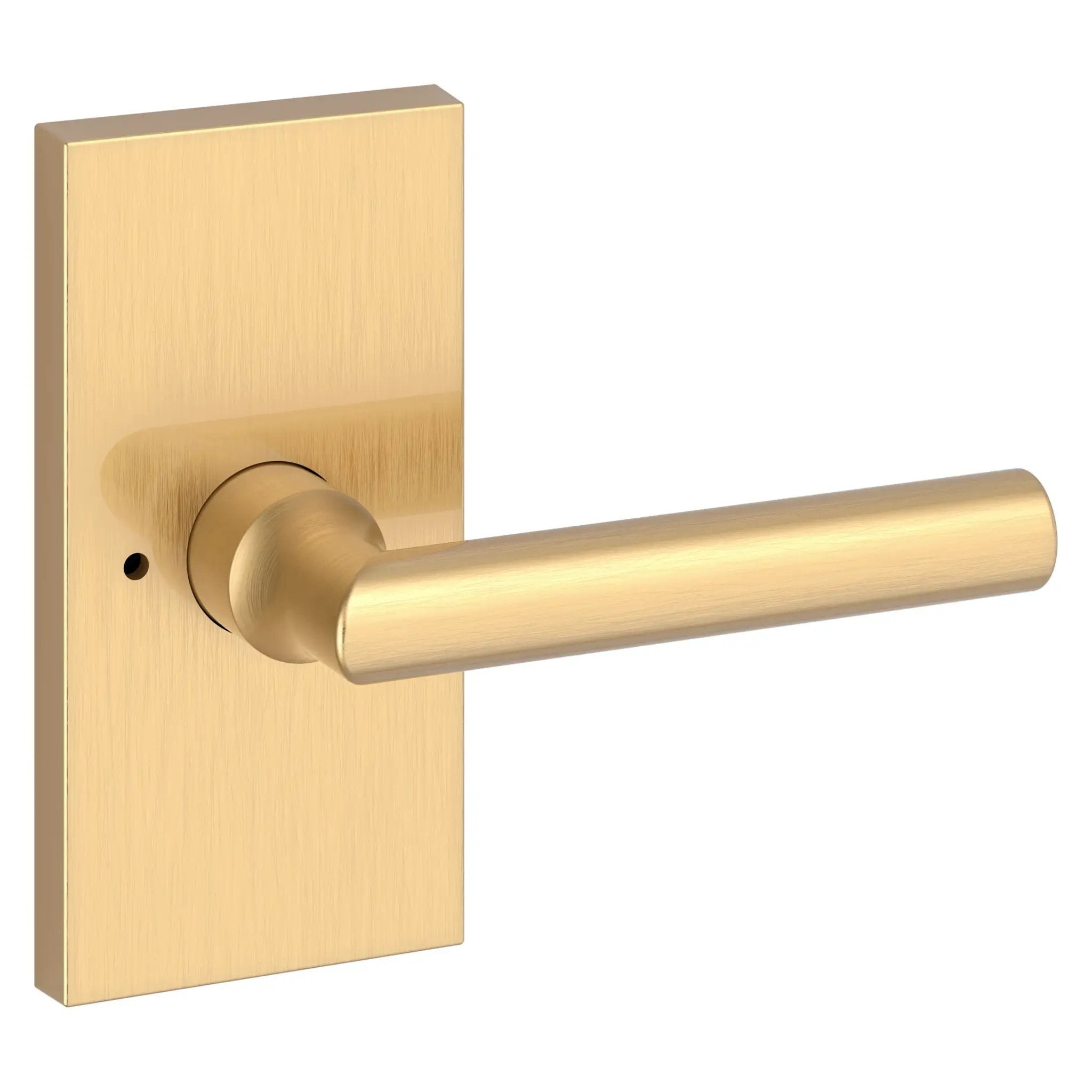 Baldwin Reserve Tube Lever and Contemporary 5" Rose by Baldwin
