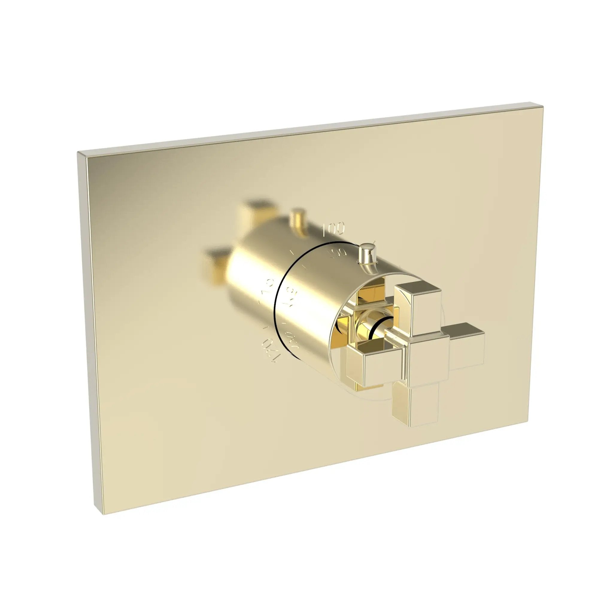 Newport Brass Malvina 3/4" Square Thermostatic Trim Plate with Handle by Newport Brass