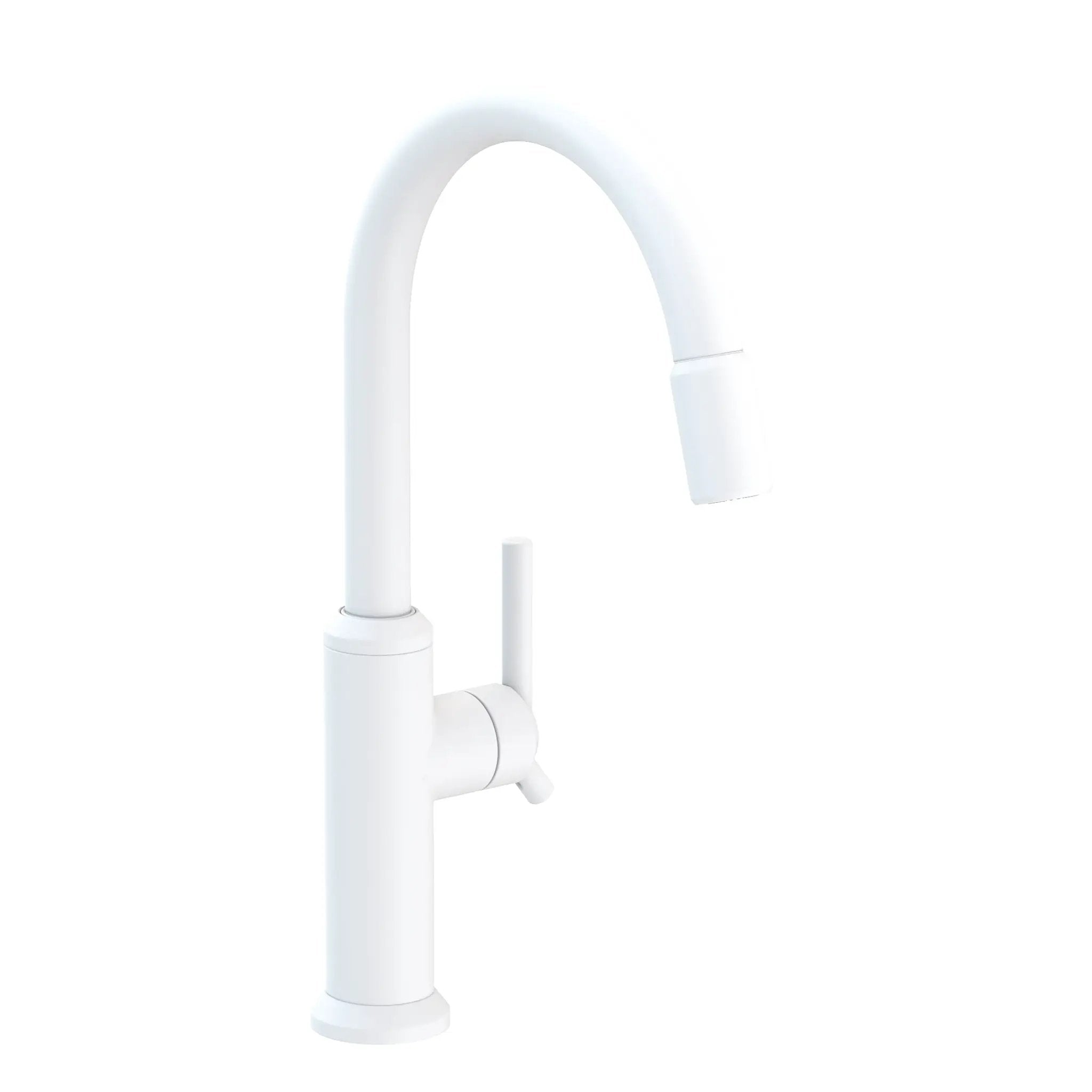 Newport Brass Jeter Pull-down Kitchen Faucet by Newport Brass