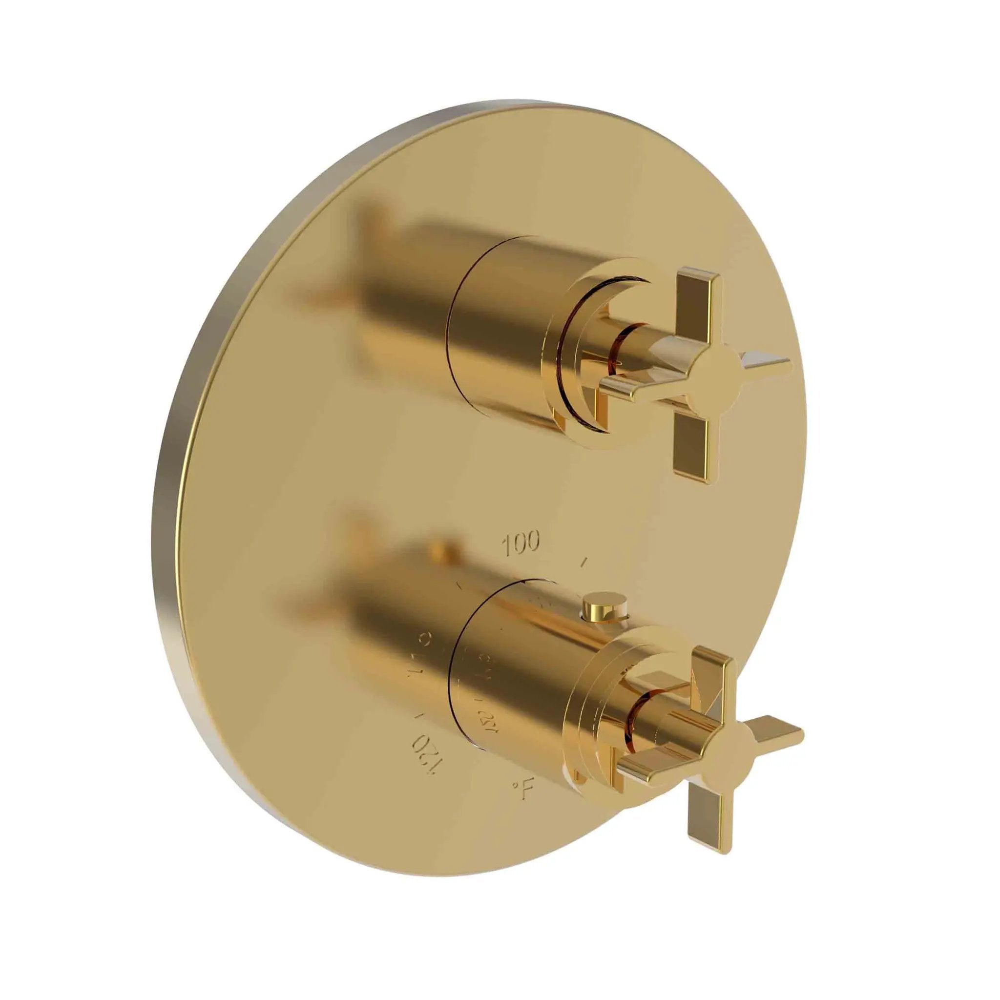 Newport Brass Tolmin 1/2" Round Thermostatic Trim Plate with Handle by Newport Brass